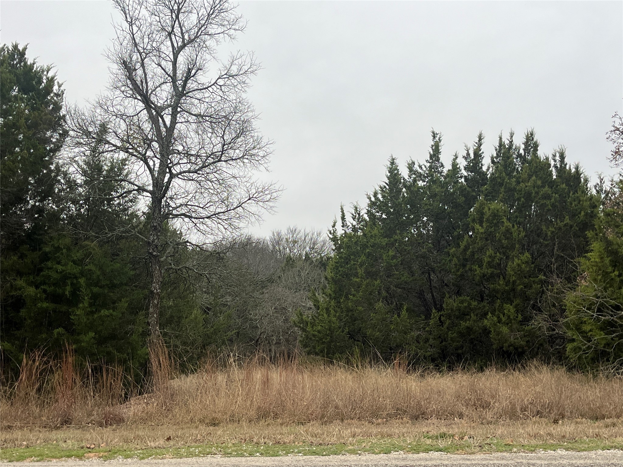 1141 Neches Trail Whitney TX 76692