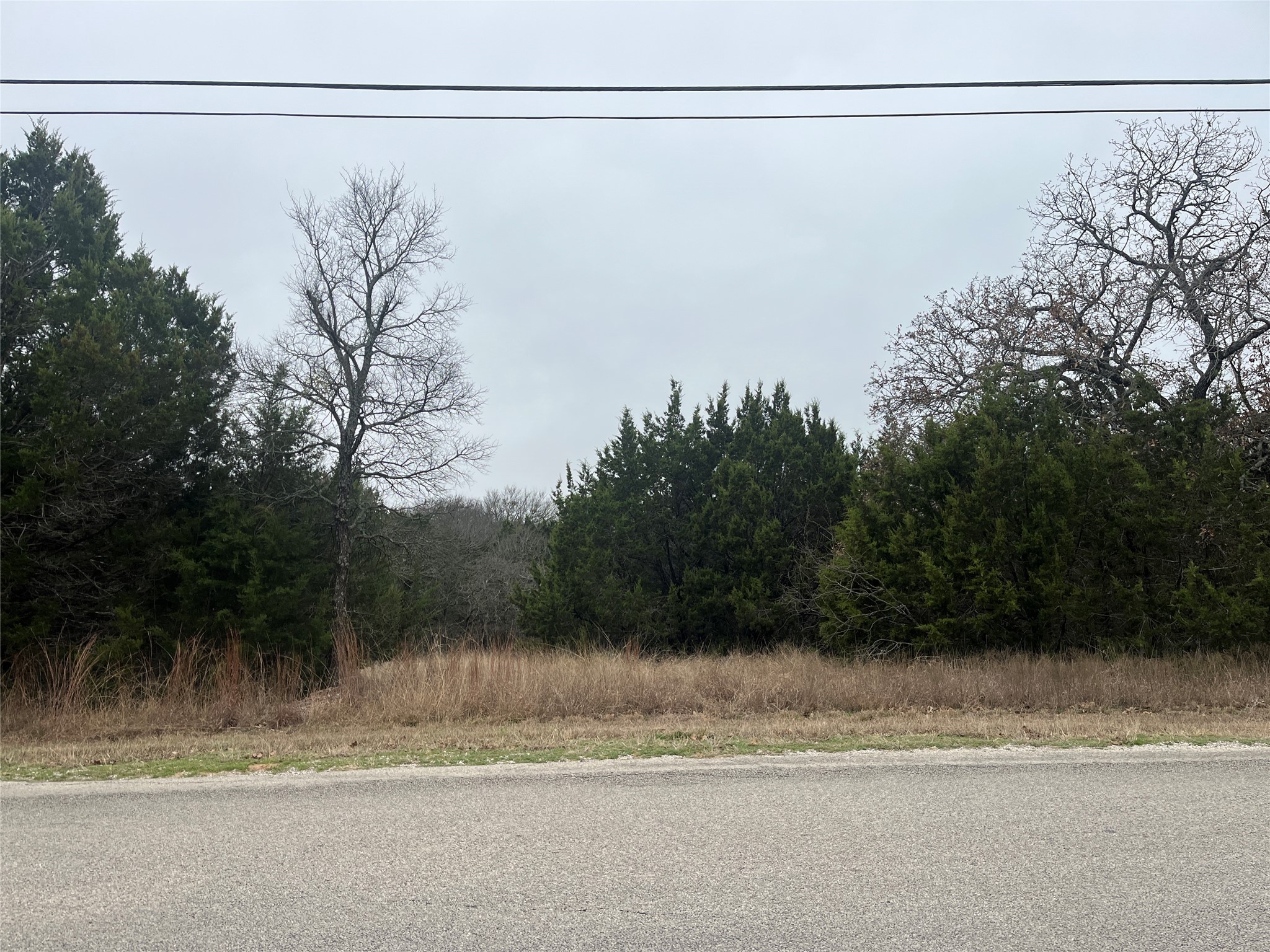 1141 Neches Trail Whitney TX 76692