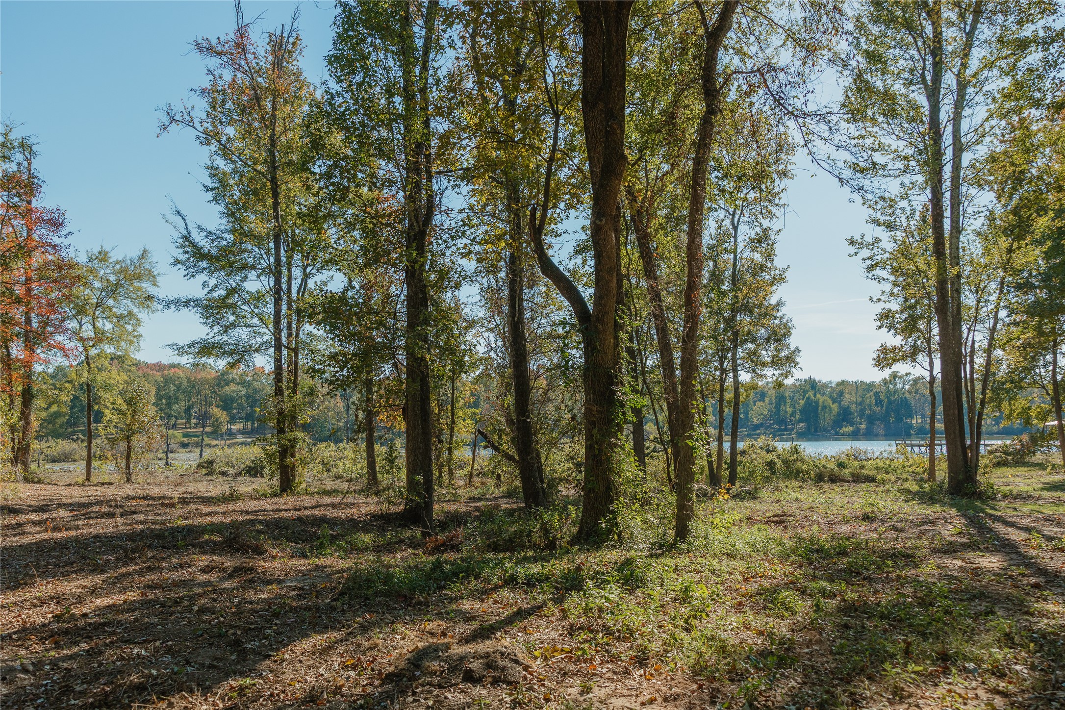 Lot 16 Private Road 5948 Yantis TX 75497