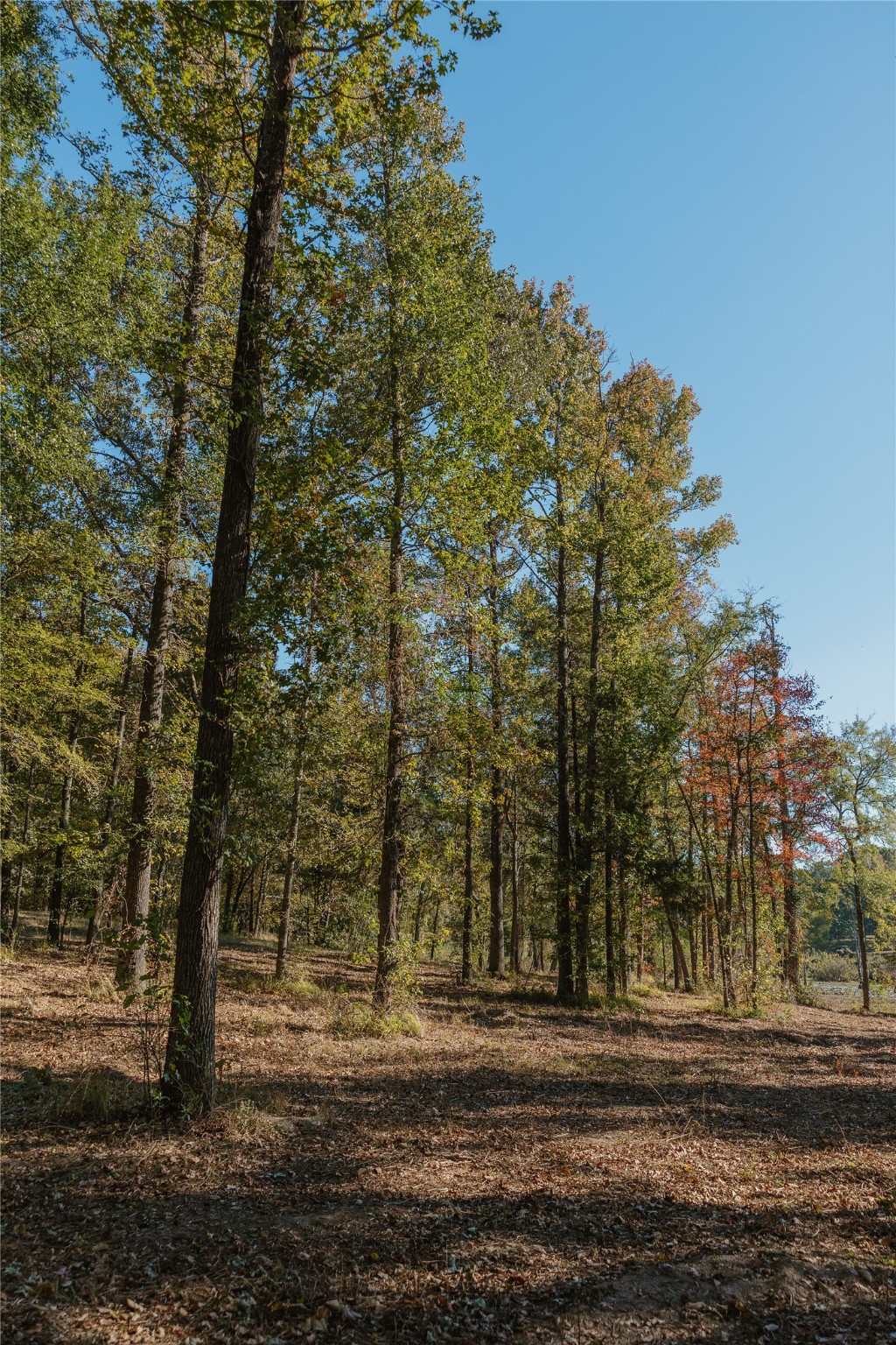 Lot 16 Private Road 5948 Yantis TX 75497