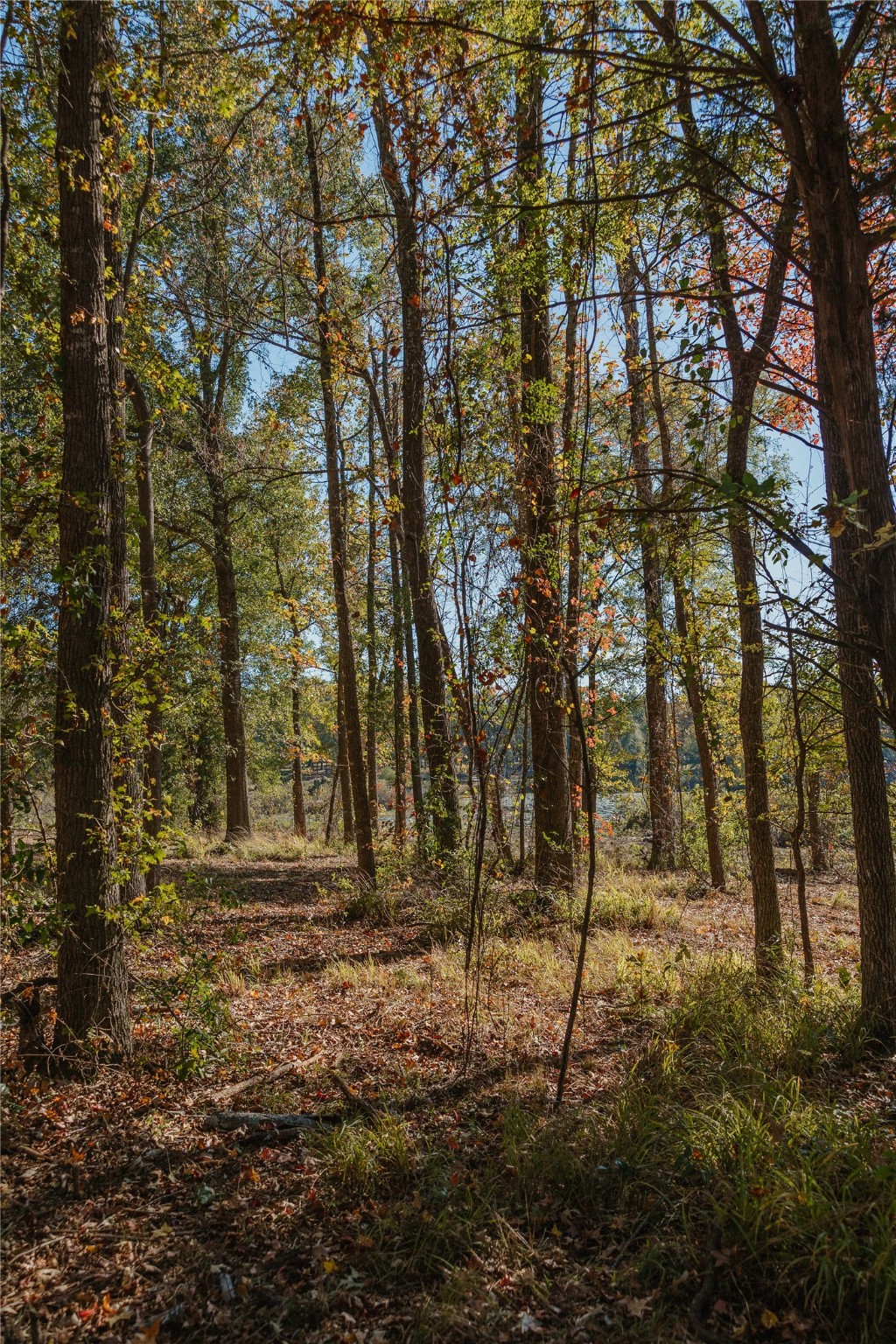 Lot 16 Private Road 5948 Yantis TX 75497