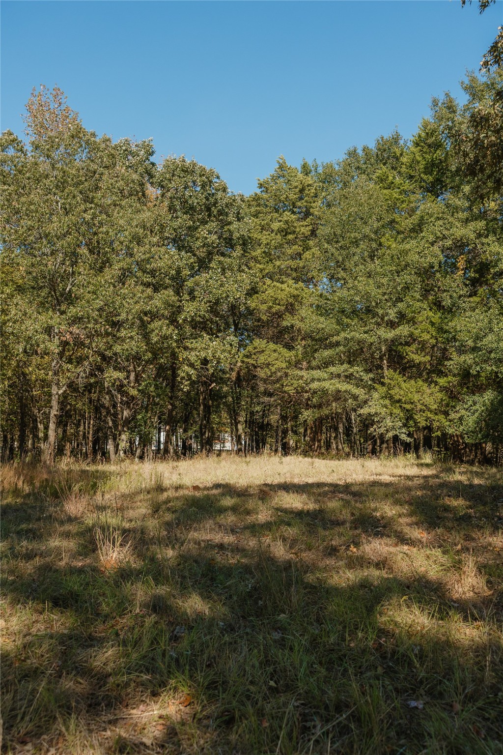Lot 16 Private Road 5948 Yantis TX 75497