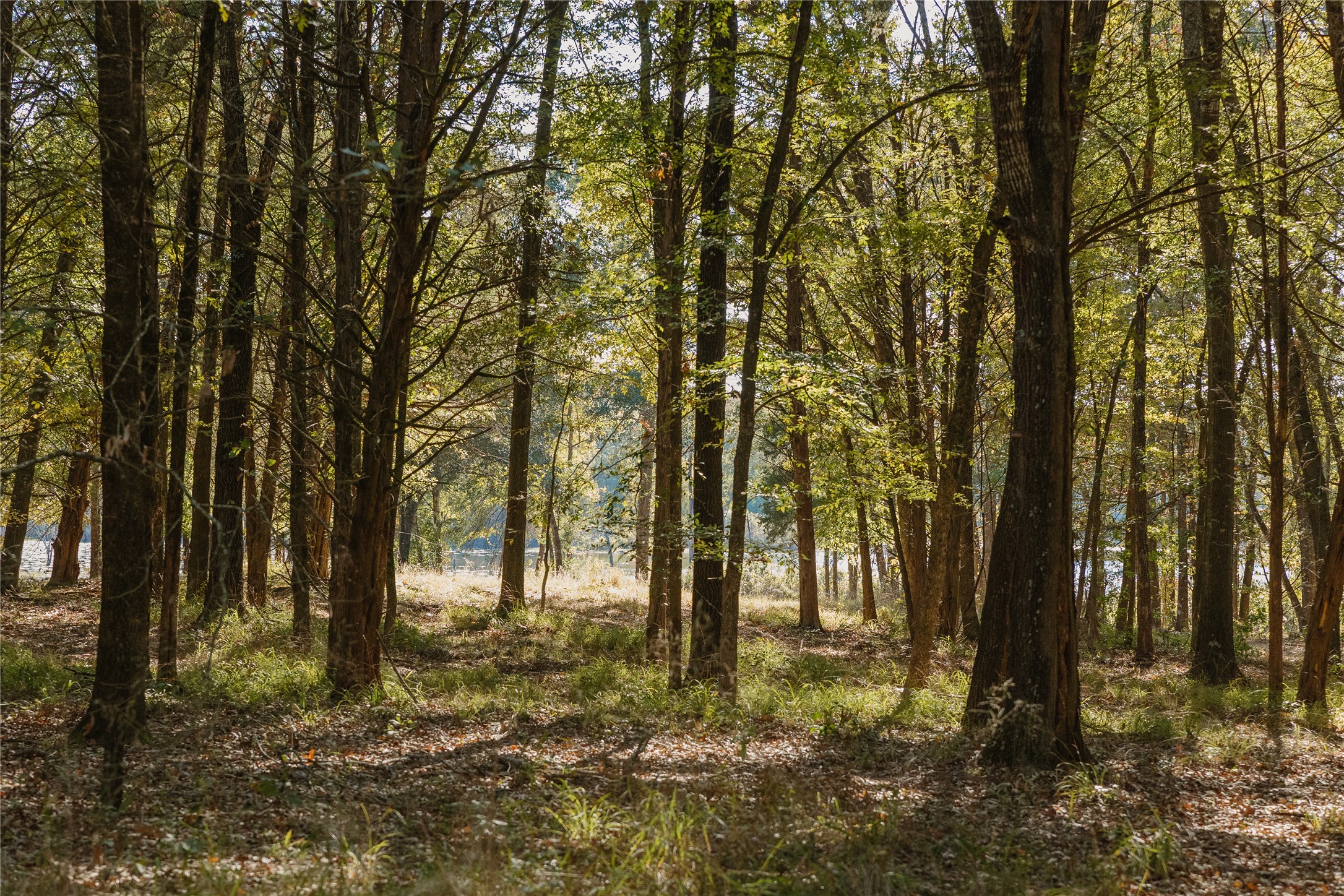 Lot 16 Private Road 5948 Yantis TX 75497