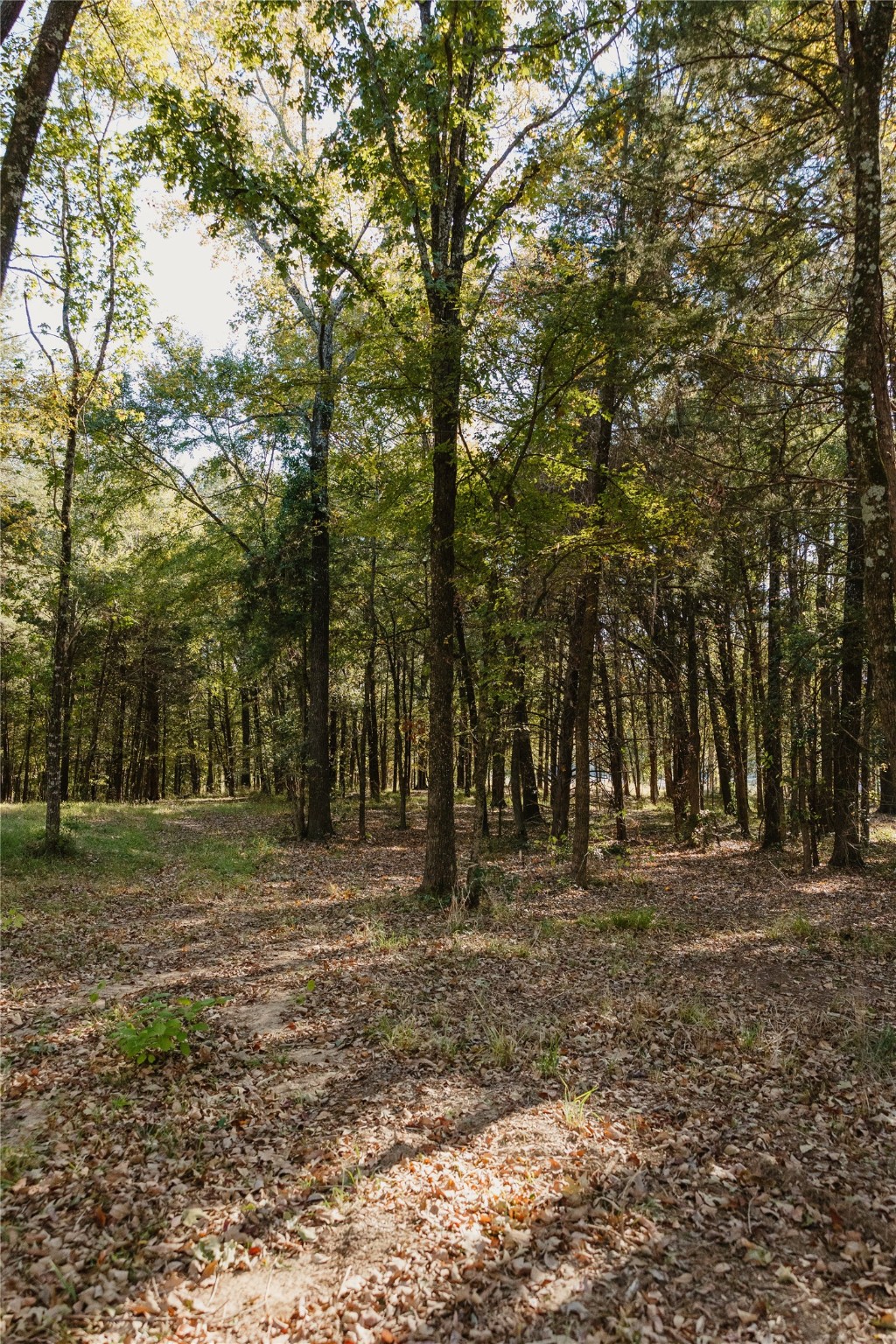 Lot 16 Private Road 5948 Yantis TX 75497