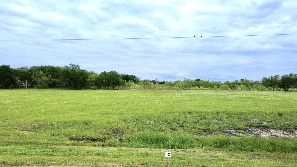 Lot 12 Alfonso Drive Corsicana TX 75110