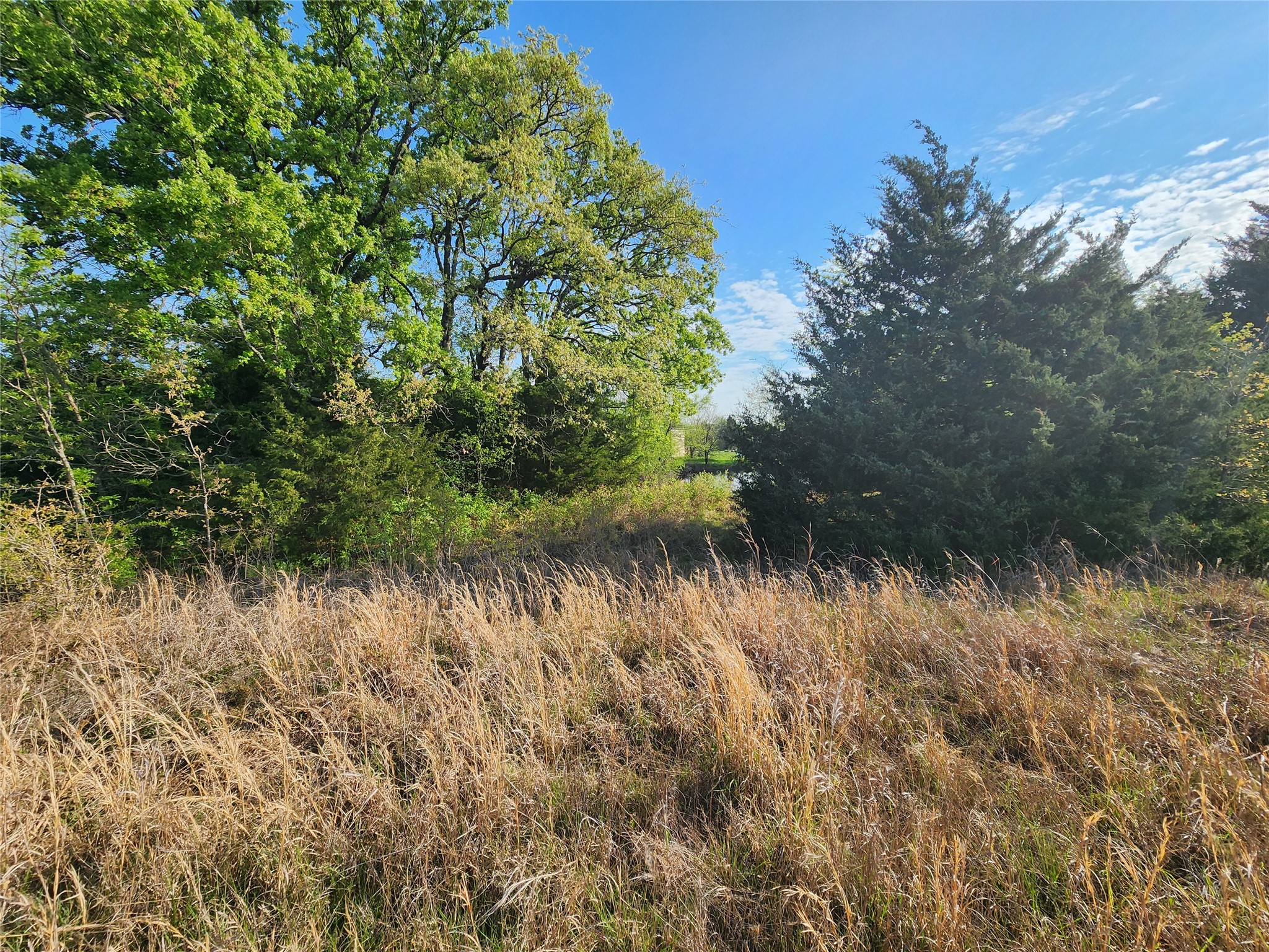 Tbd County Road 4120 Cumby TX 75433