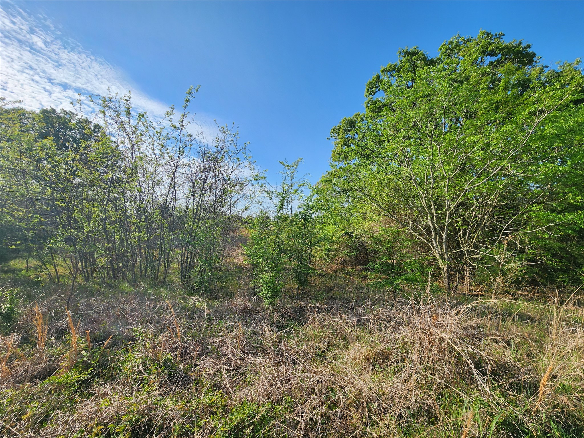 Tbd County Road 4120 Cumby TX 75433