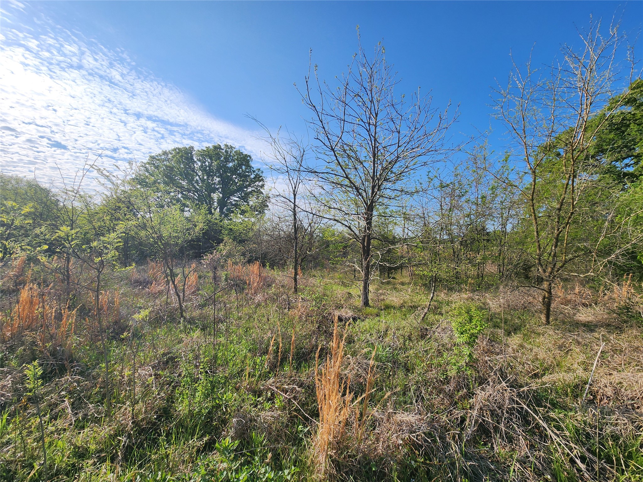 Tbd County Road 4120 Cumby TX 75433