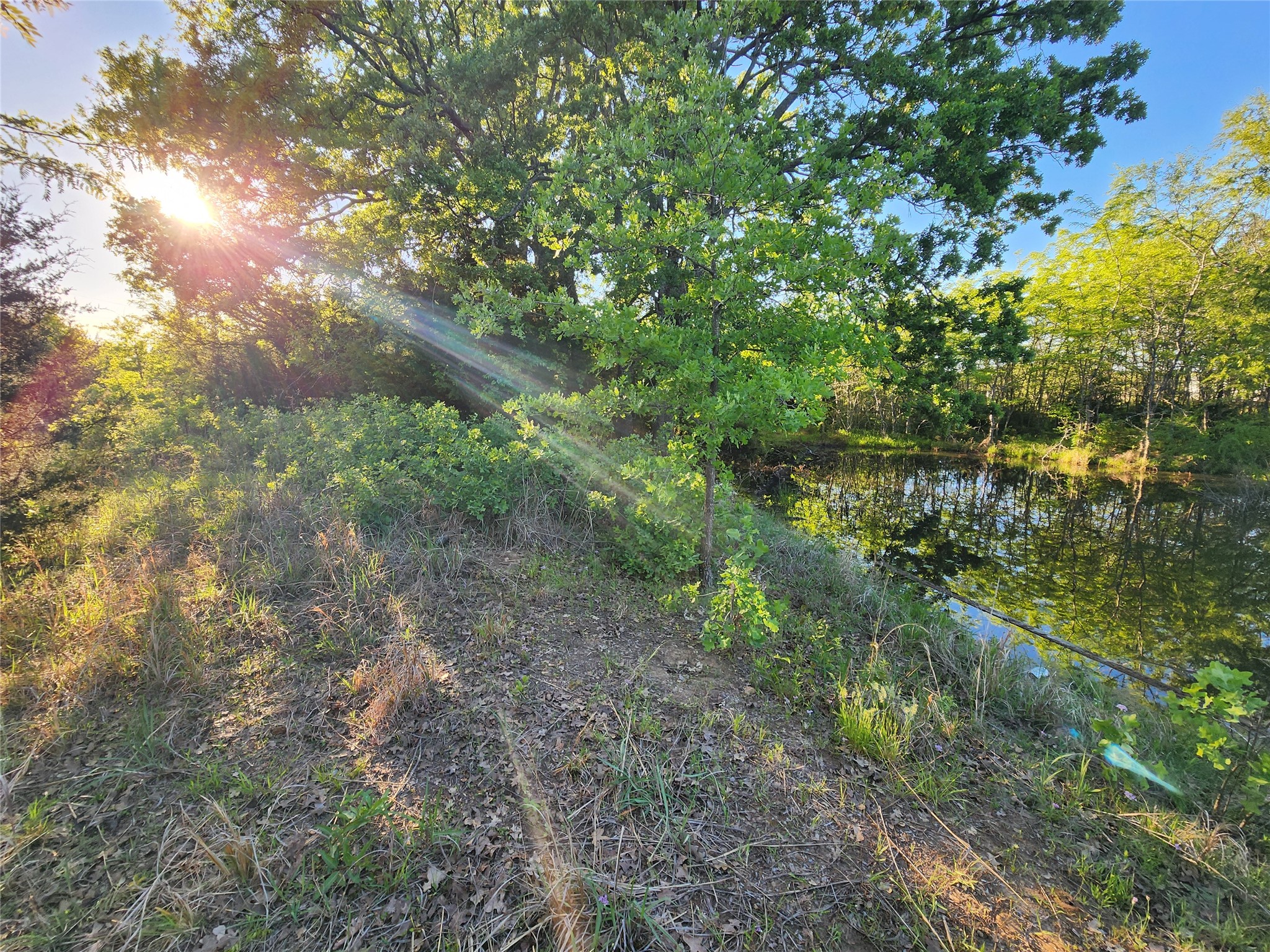 Tbd County Road 4120 Cumby TX 75433