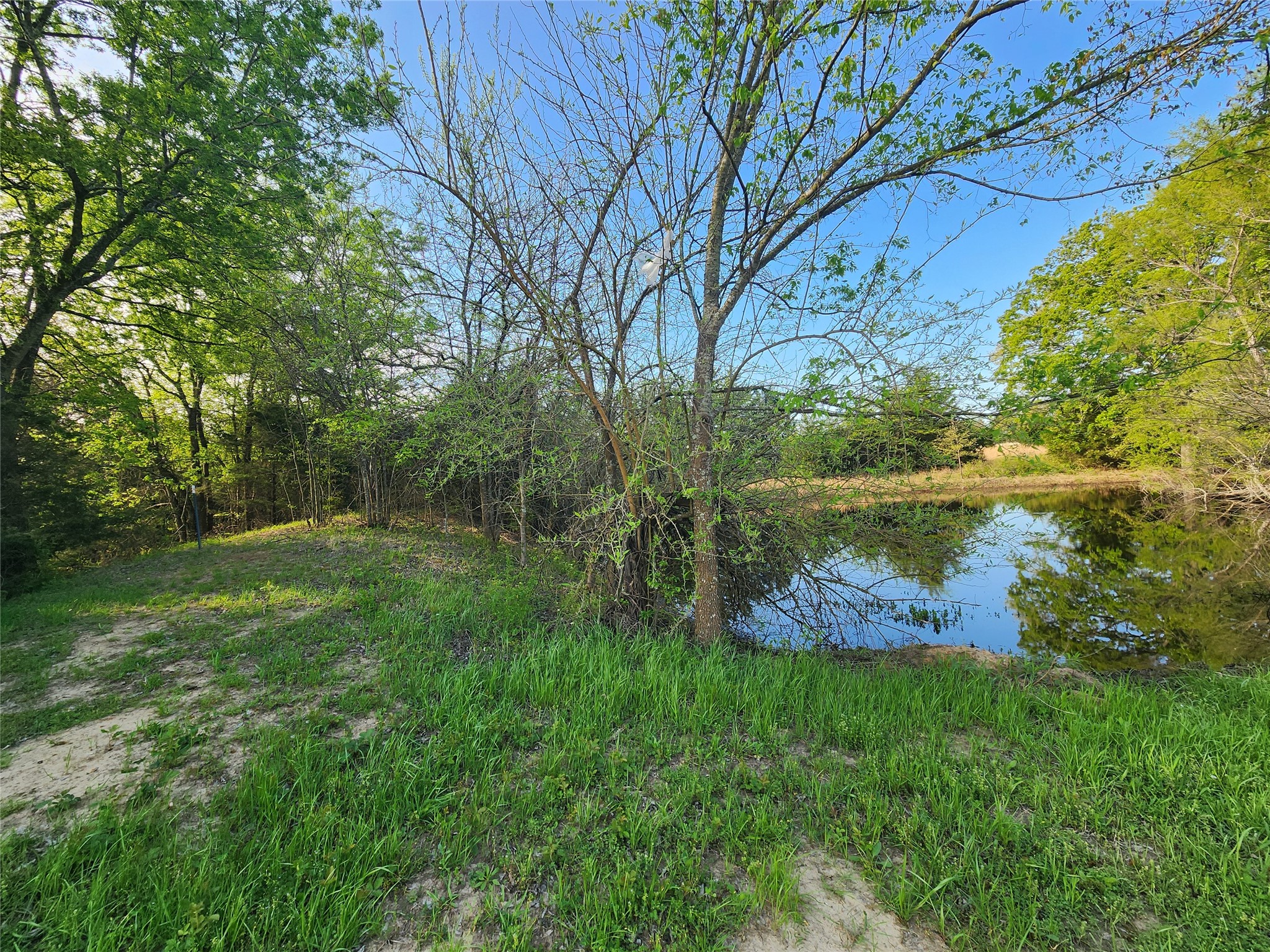 Tbd County Road 4120 Cumby TX 75433