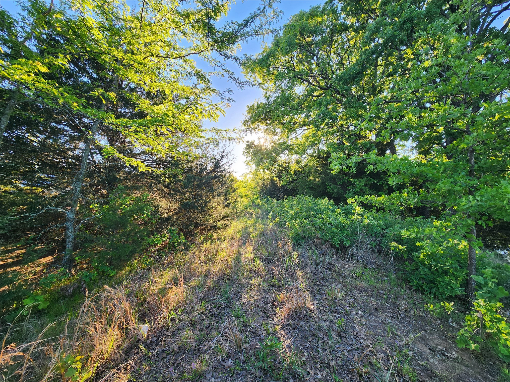 Tbd County Road 4120 Cumby TX 75433