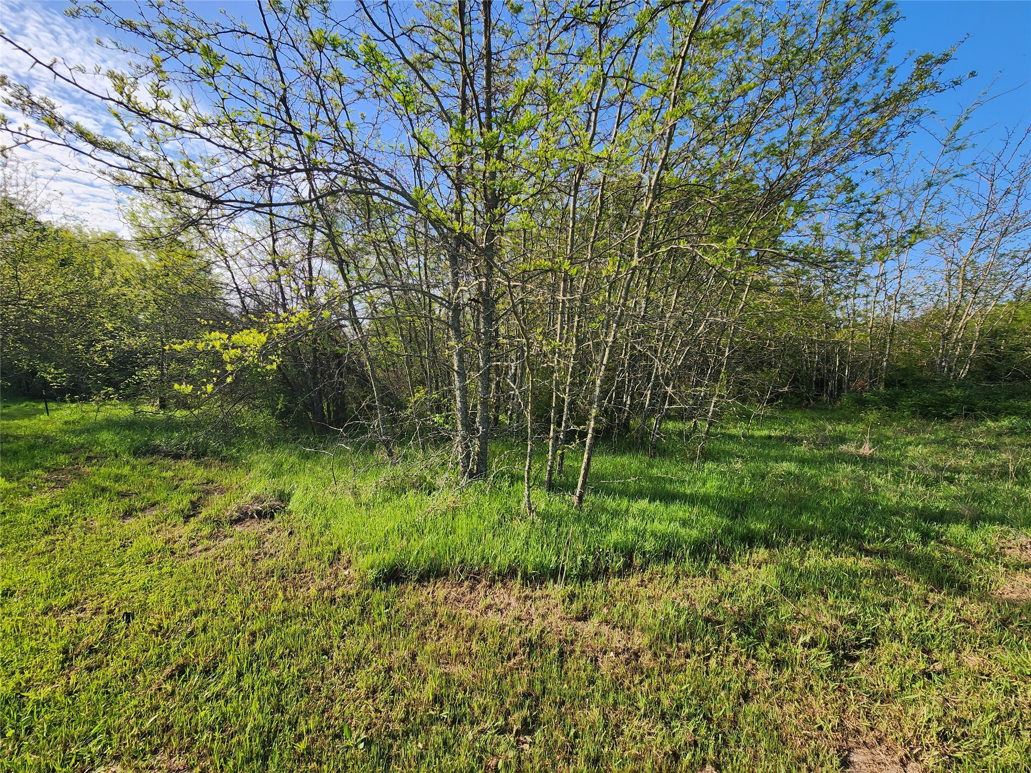 Tbd County Road 4120 Cumby TX 75433