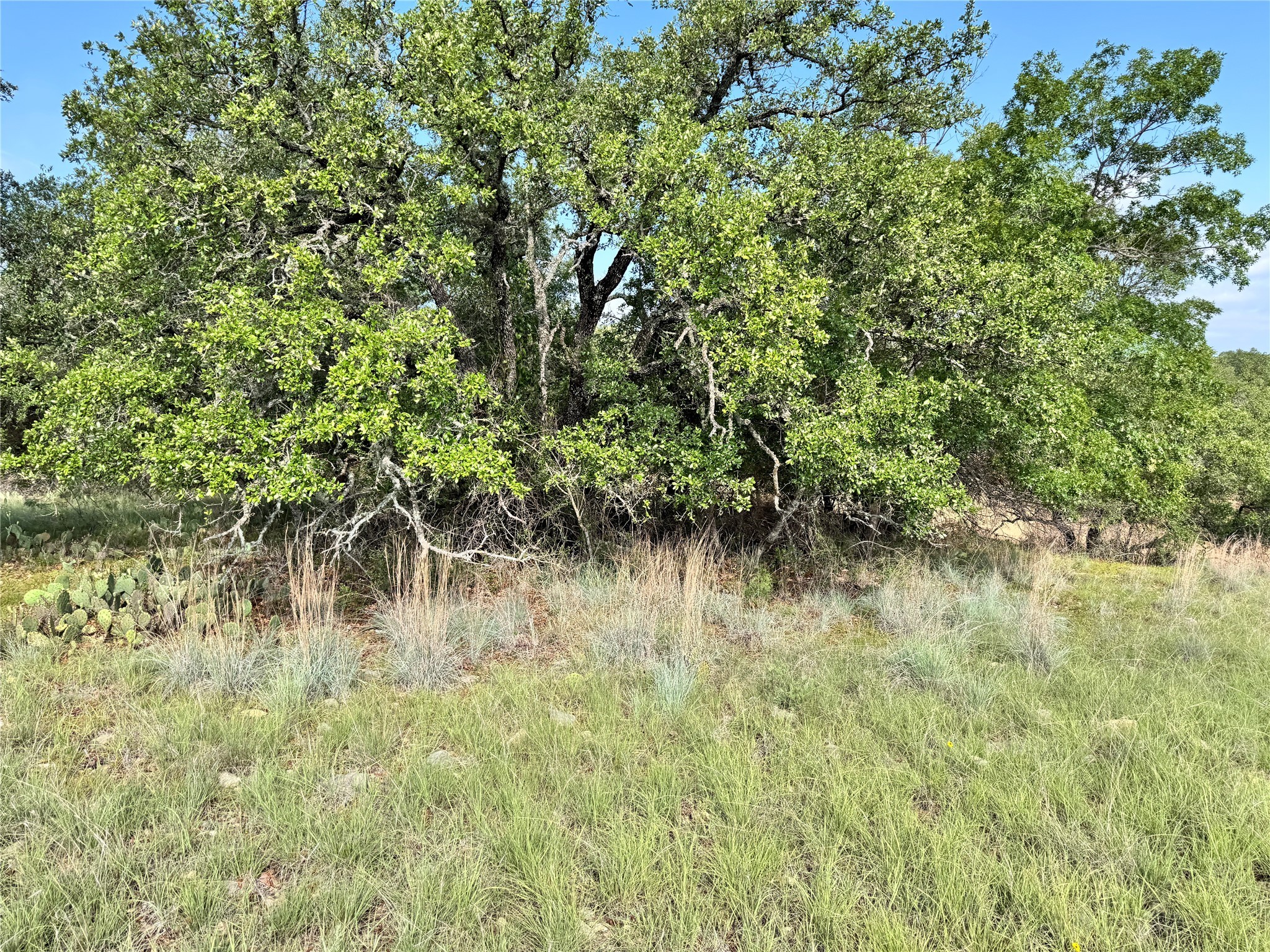 Tbd Lot 479 Oak Point Drive May TX 76857