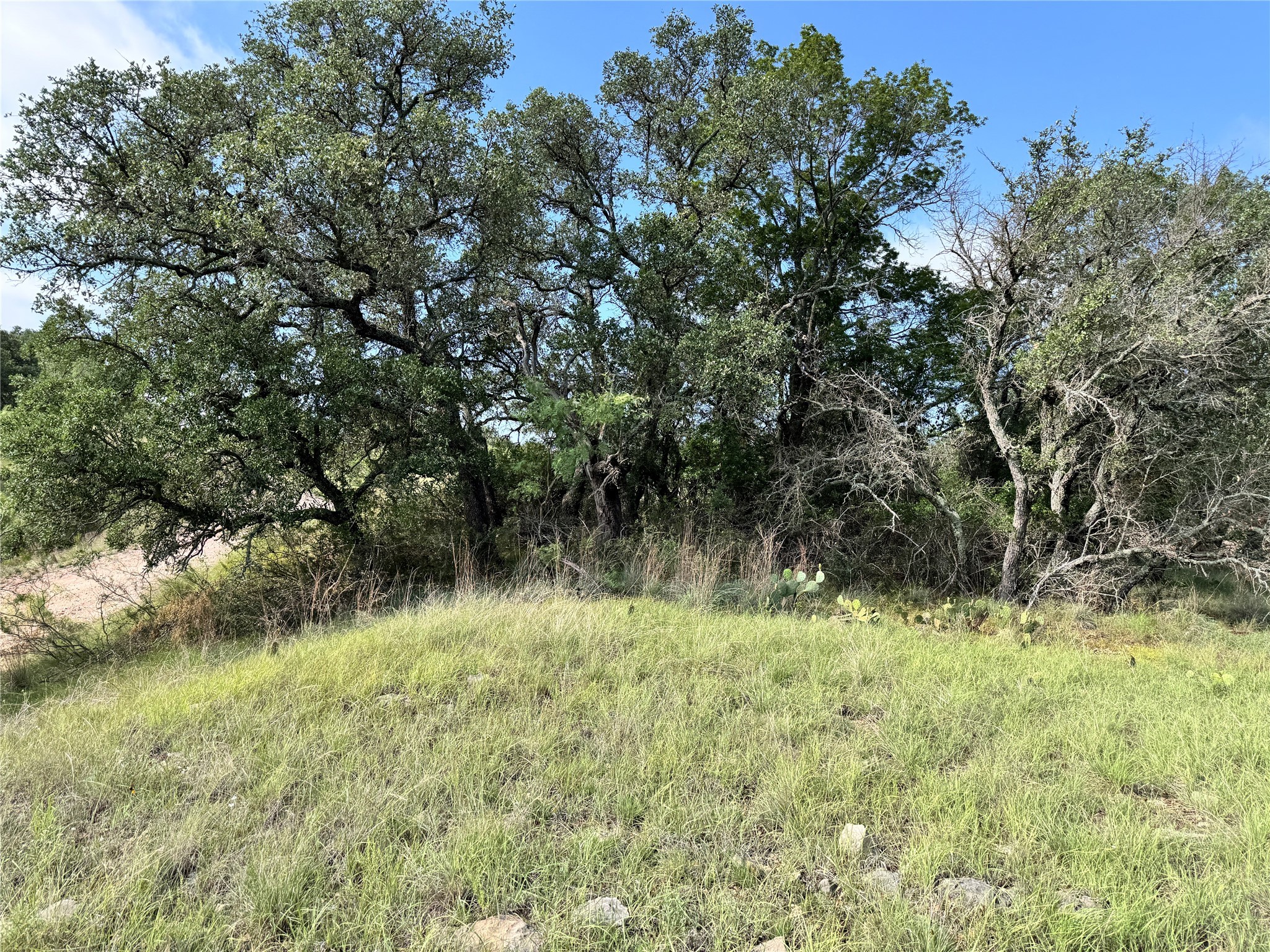Tbd Lot 479 Oak Point Drive May TX 76857