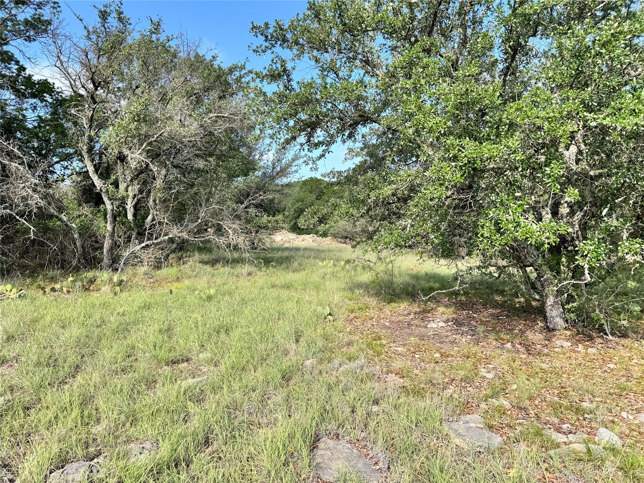 Tbd Lot 479 Oak Point Drive May TX 76857