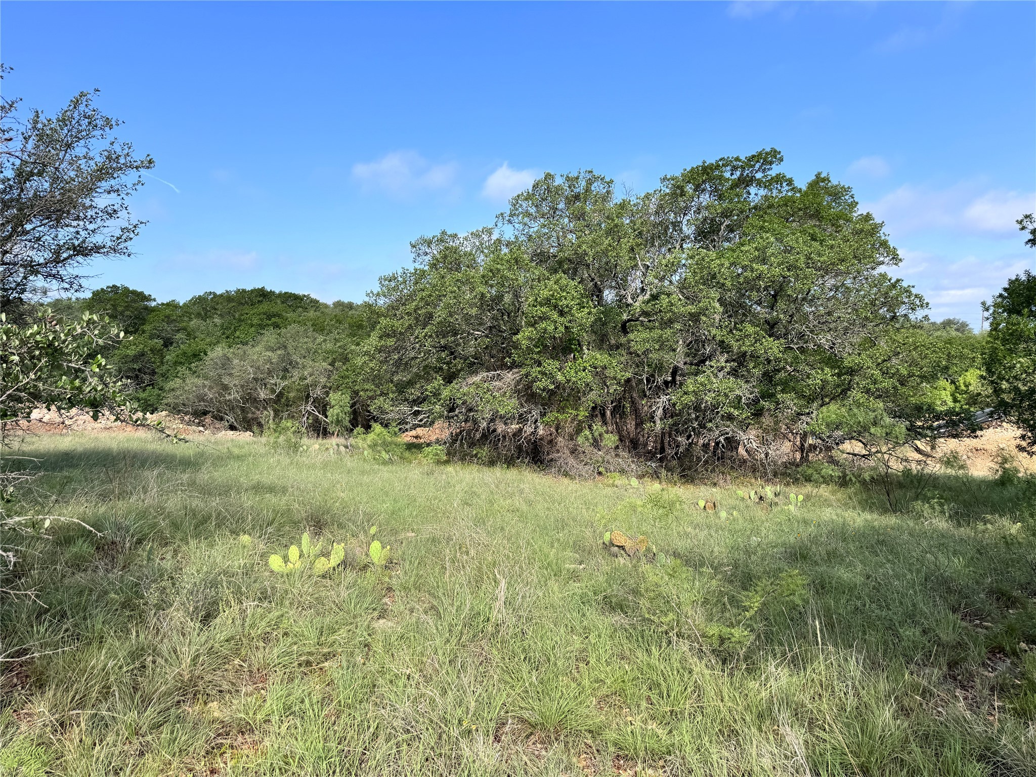 Tbd Lot 479 Oak Point Drive May TX 76857