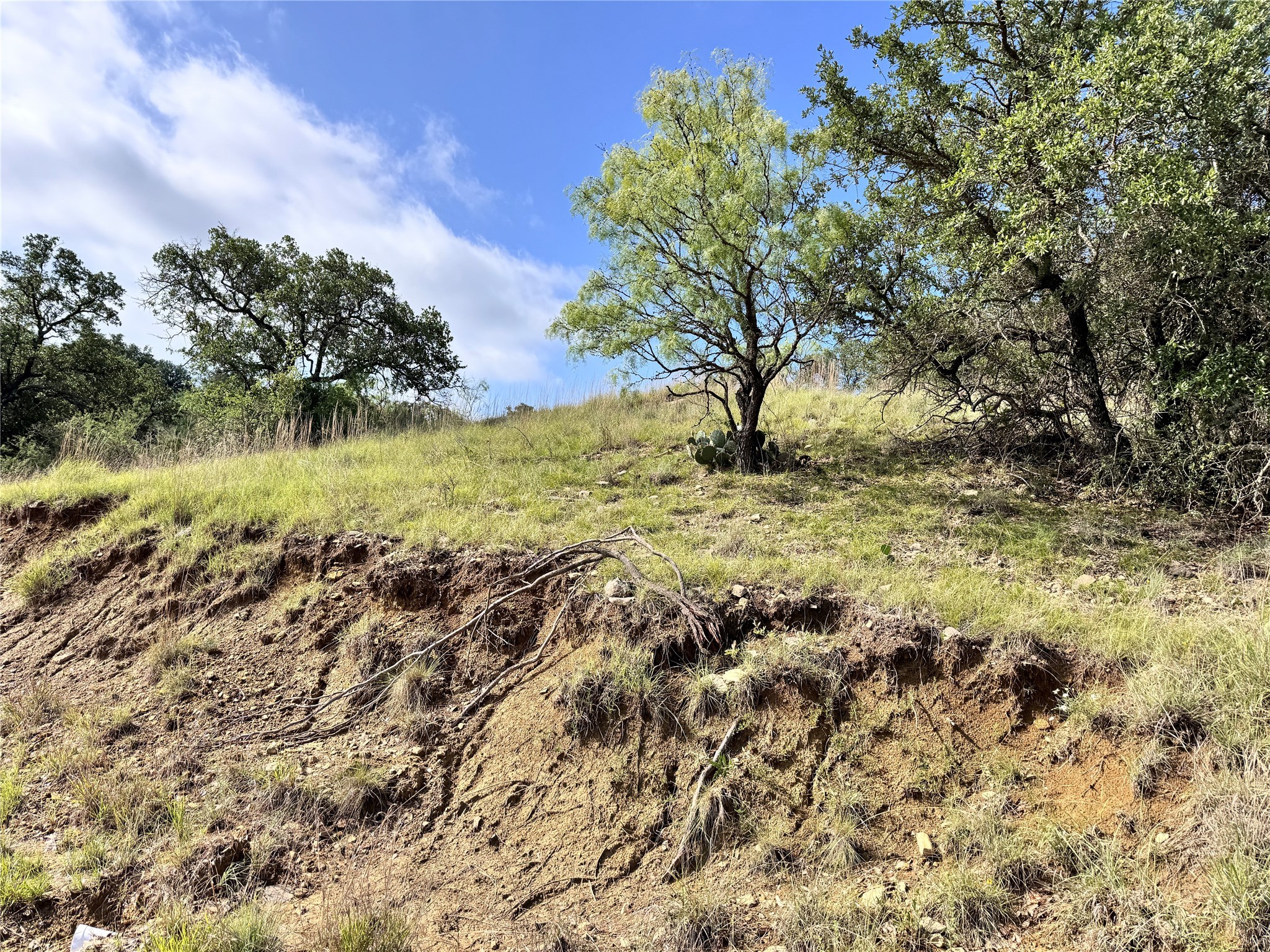 Tbd Lot 479 Oak Point Drive May TX 76857
