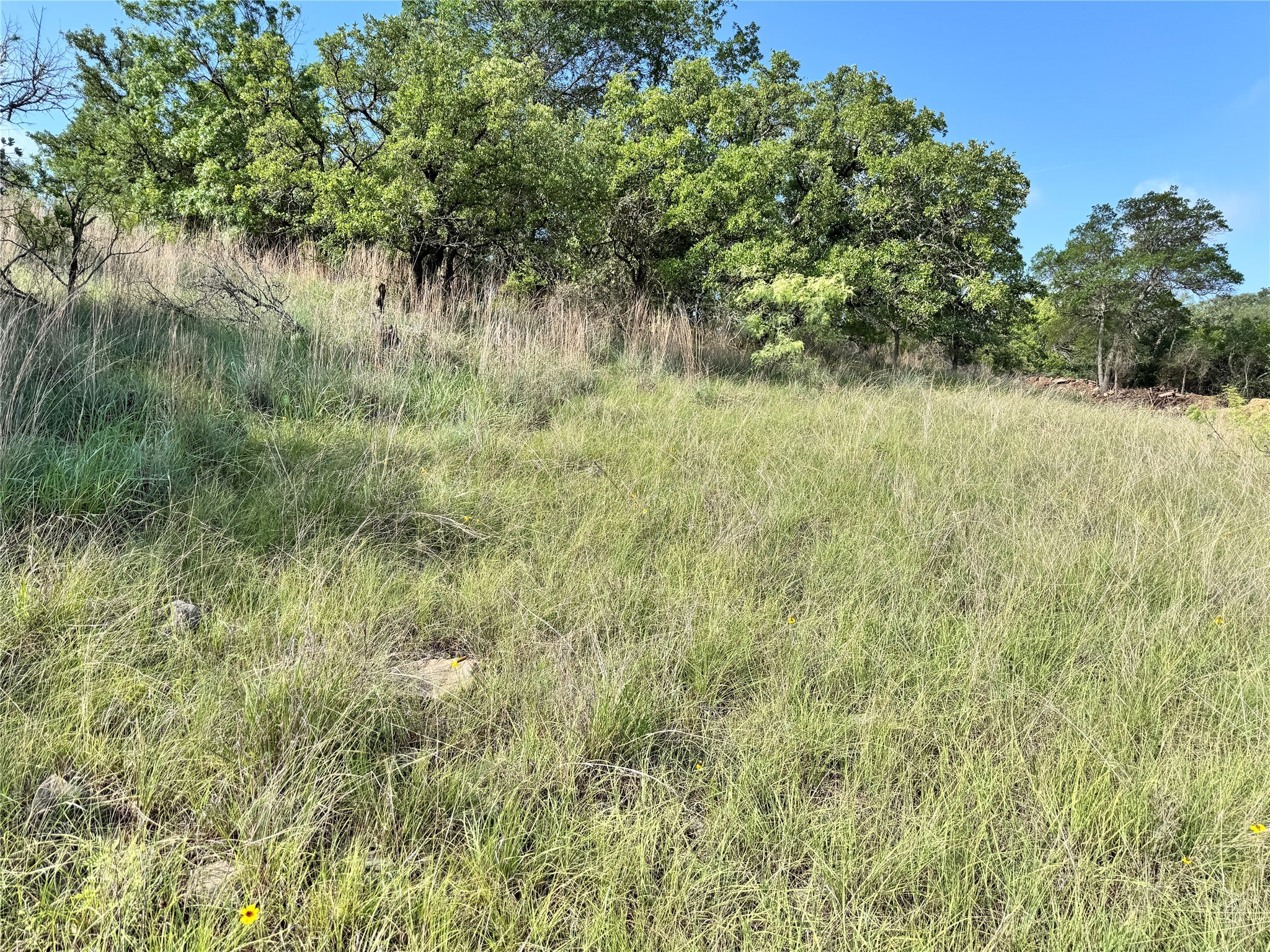 Tbd Lot 479 Oak Point Drive May TX 76857
