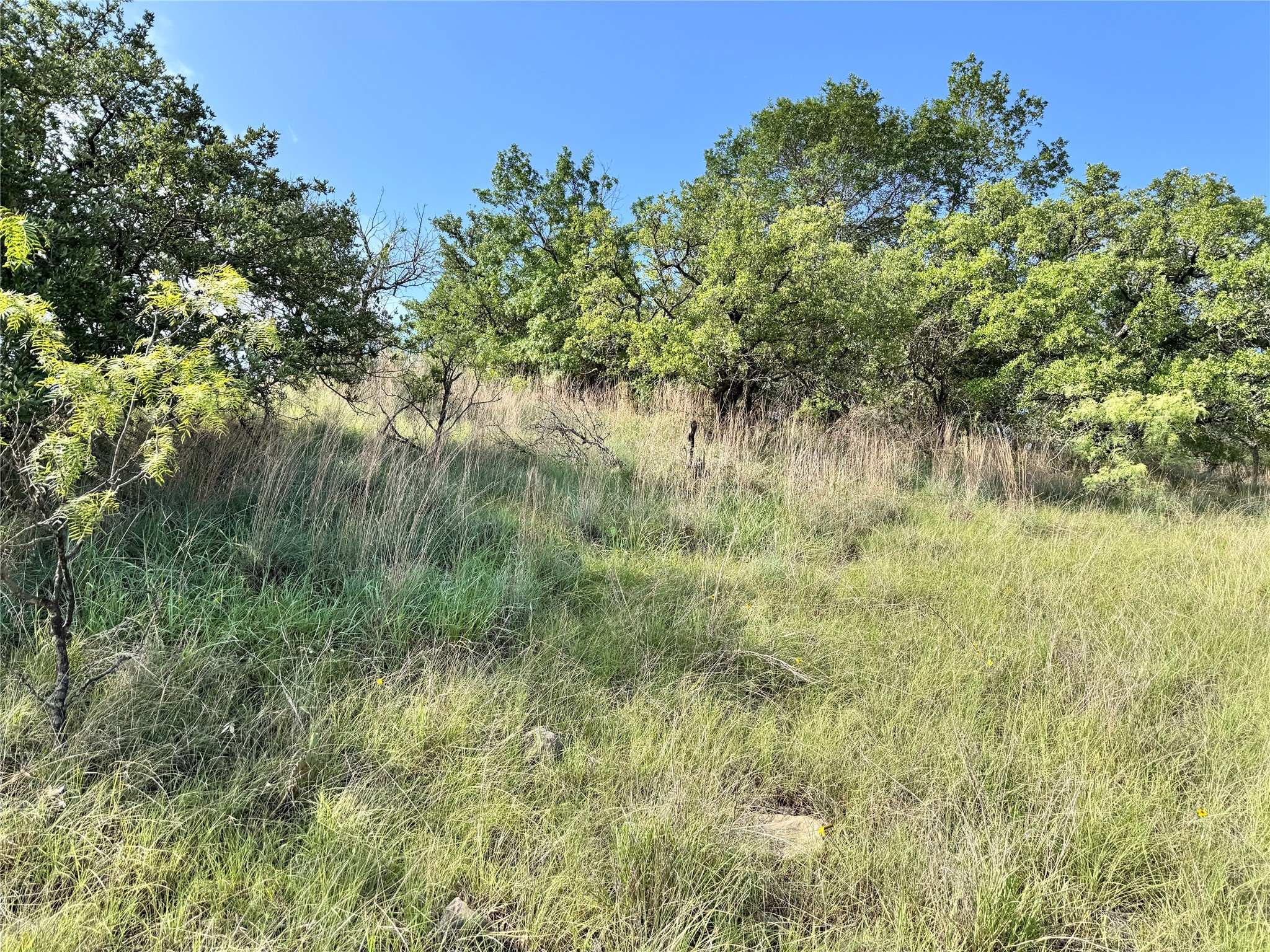 Tbd Lot 479 Oak Point Drive May TX 76857