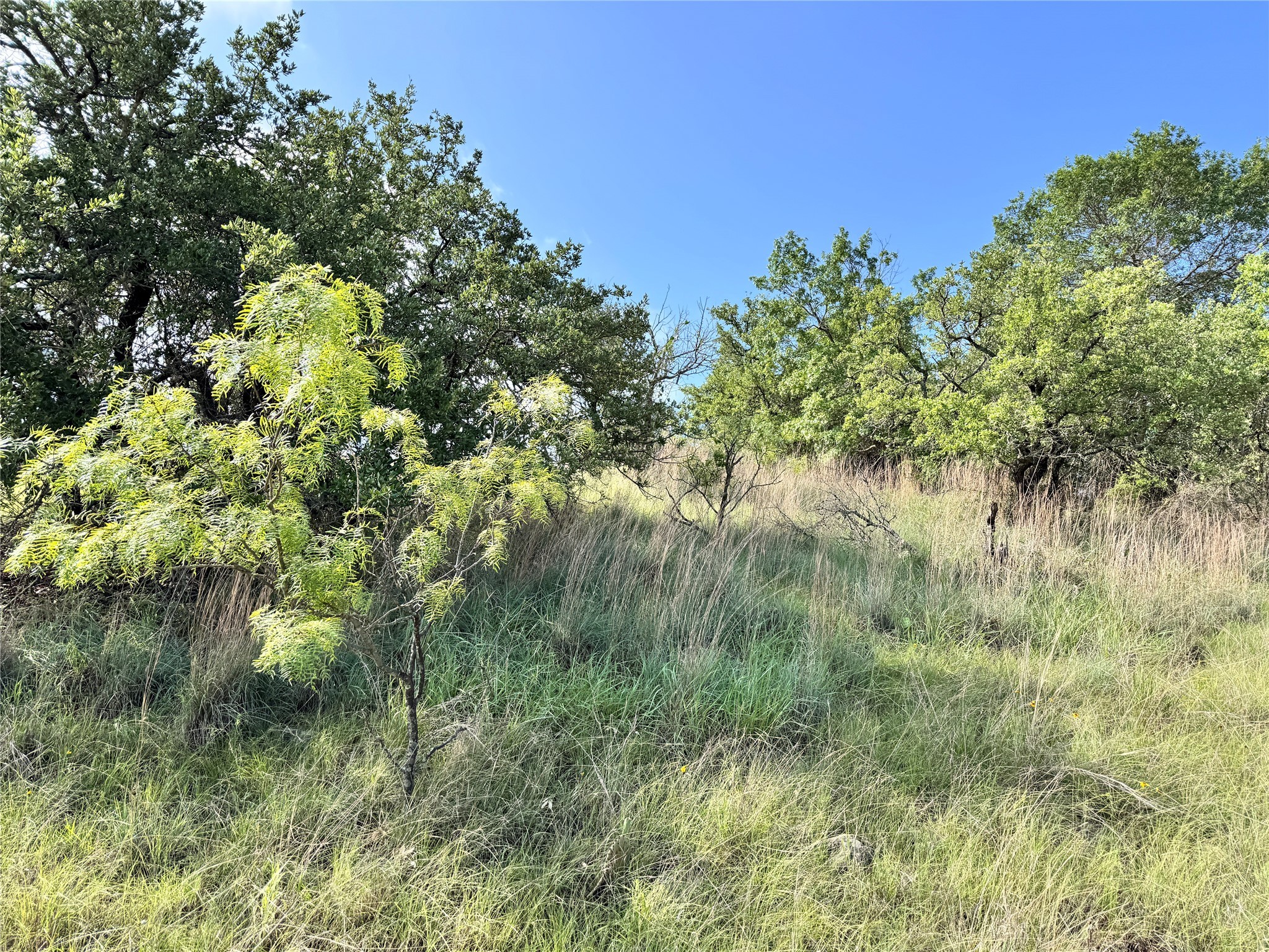 Tbd Lot 479 Oak Point Drive May TX 76857