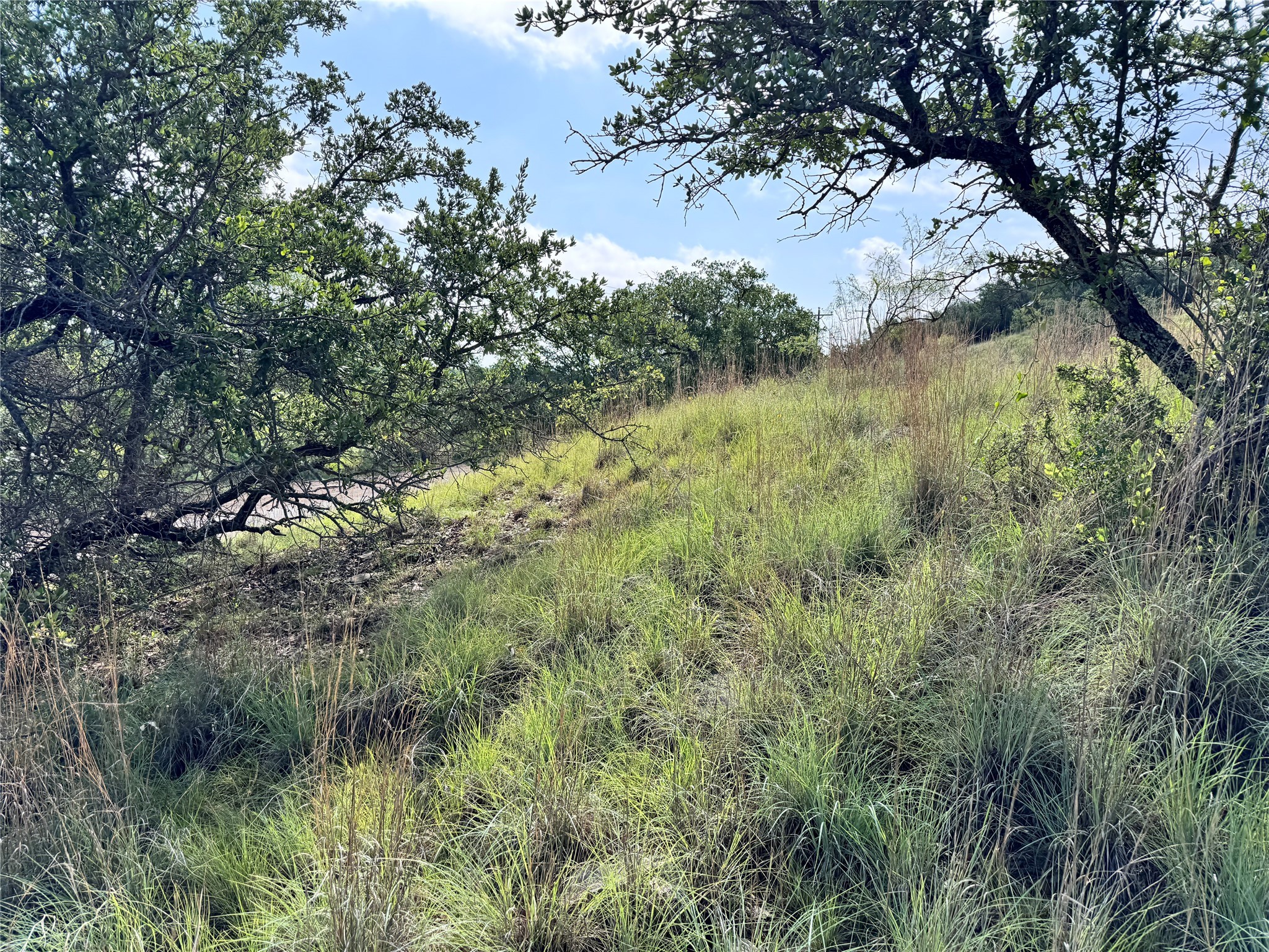 Tbd Lot 479 Oak Point Drive May TX 76857