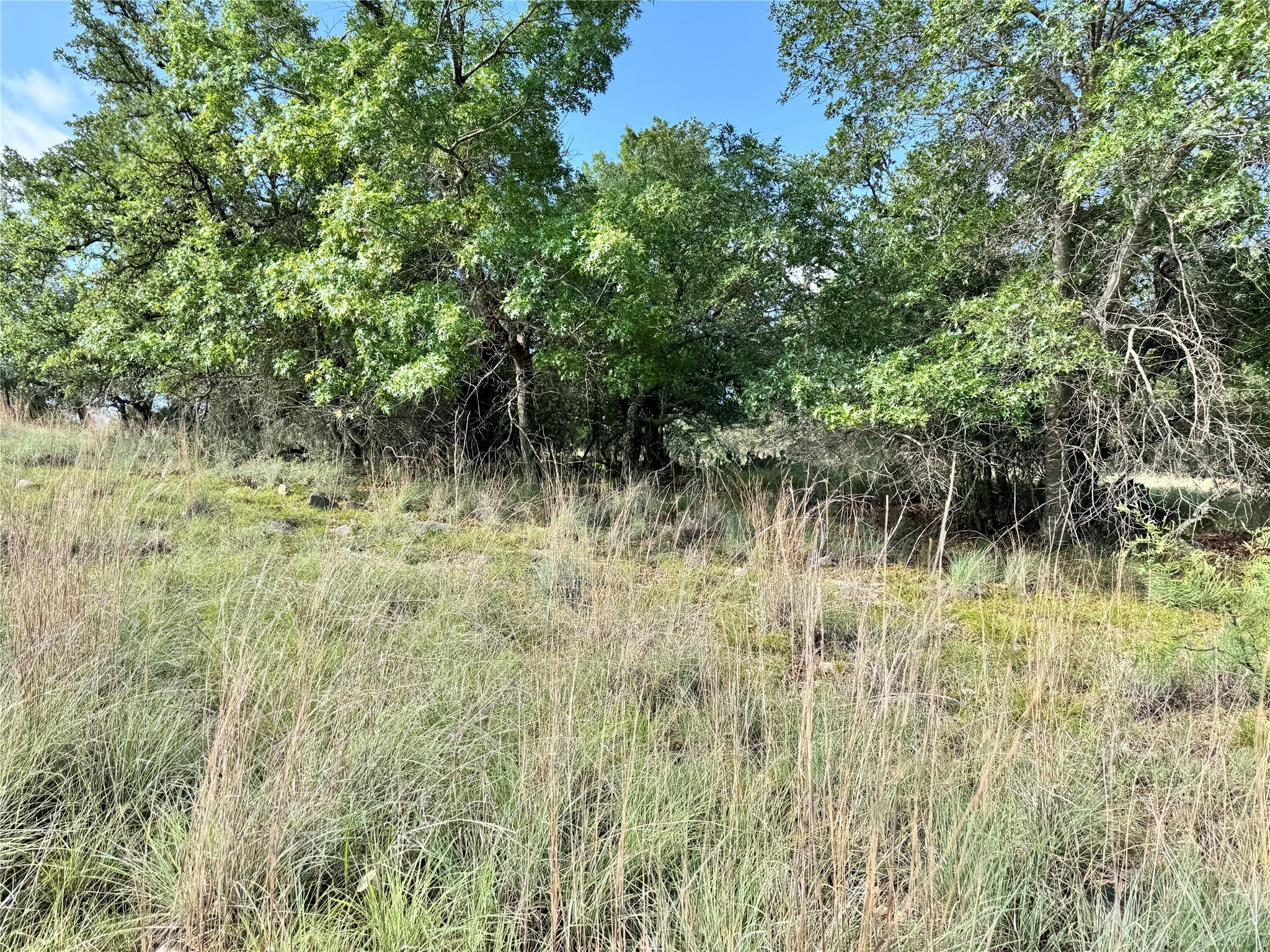 Tbd Lot 479 Oak Point Drive May TX 76857