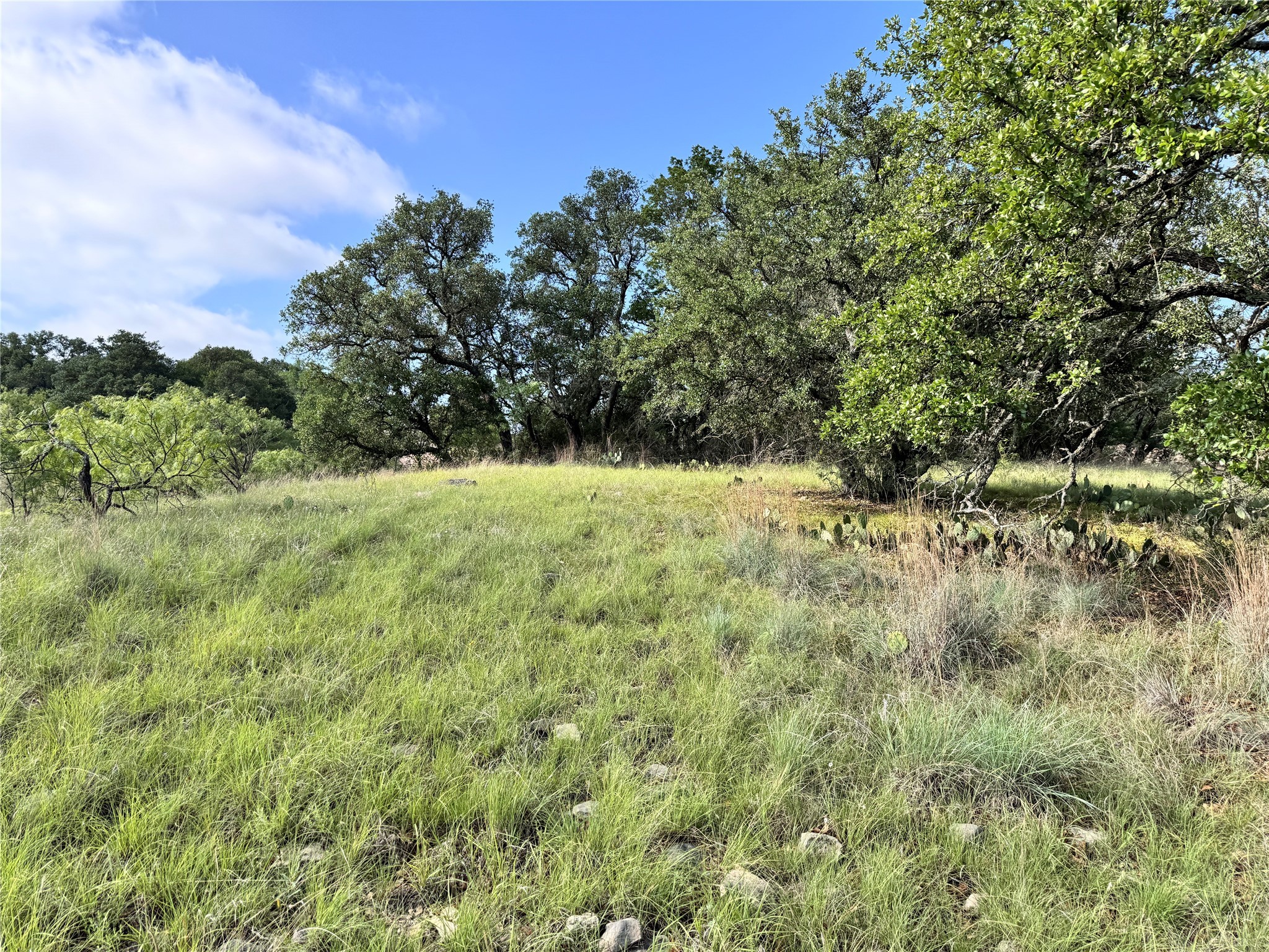 Tbd Lot 479 Oak Point Drive May TX 76857