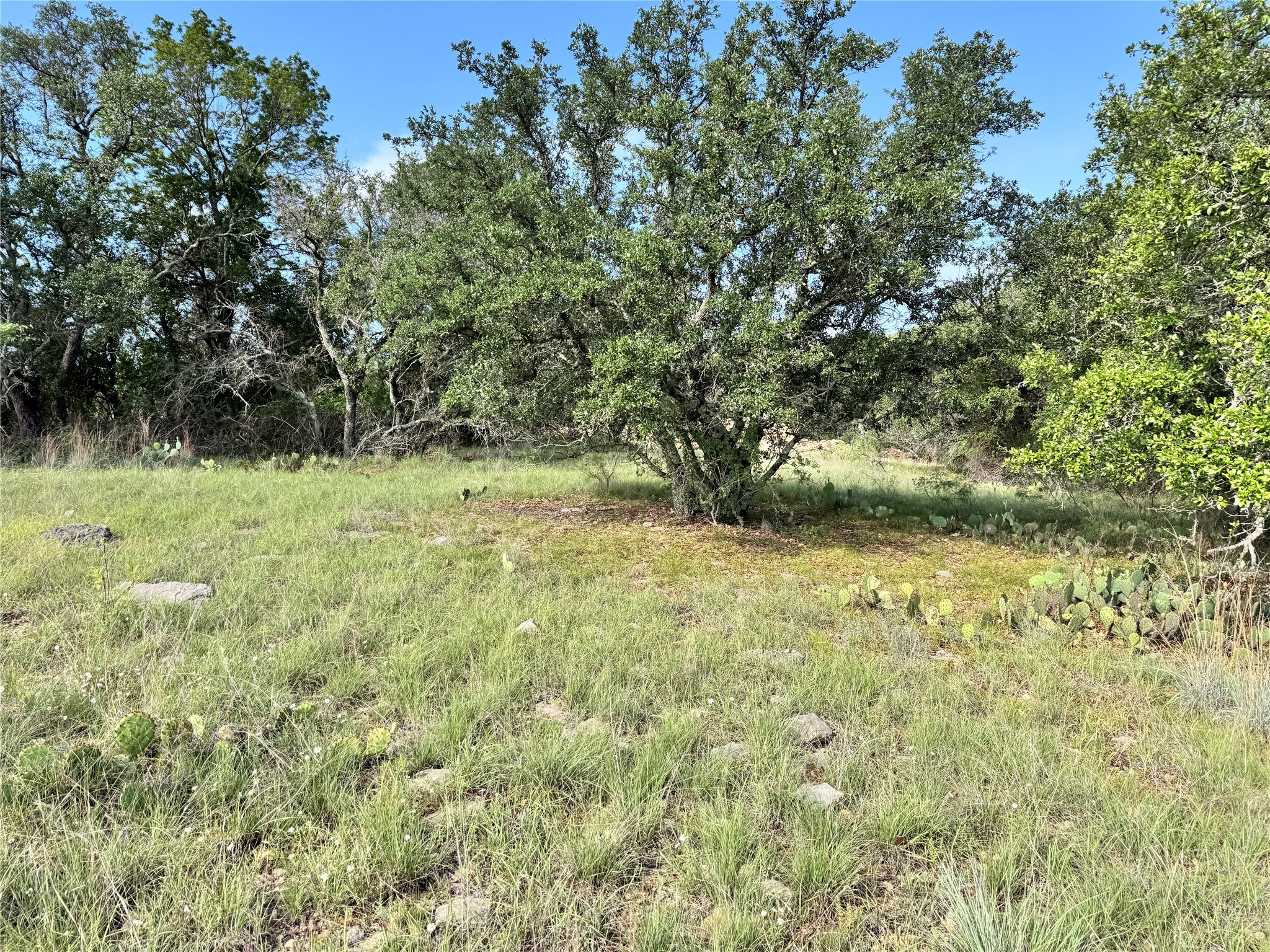 Tbd Lot 479 Oak Point Drive May TX 76857