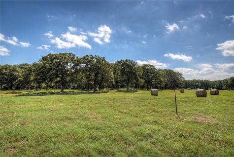 Lot 3 Benjamin Lane Wills Point TX 75169