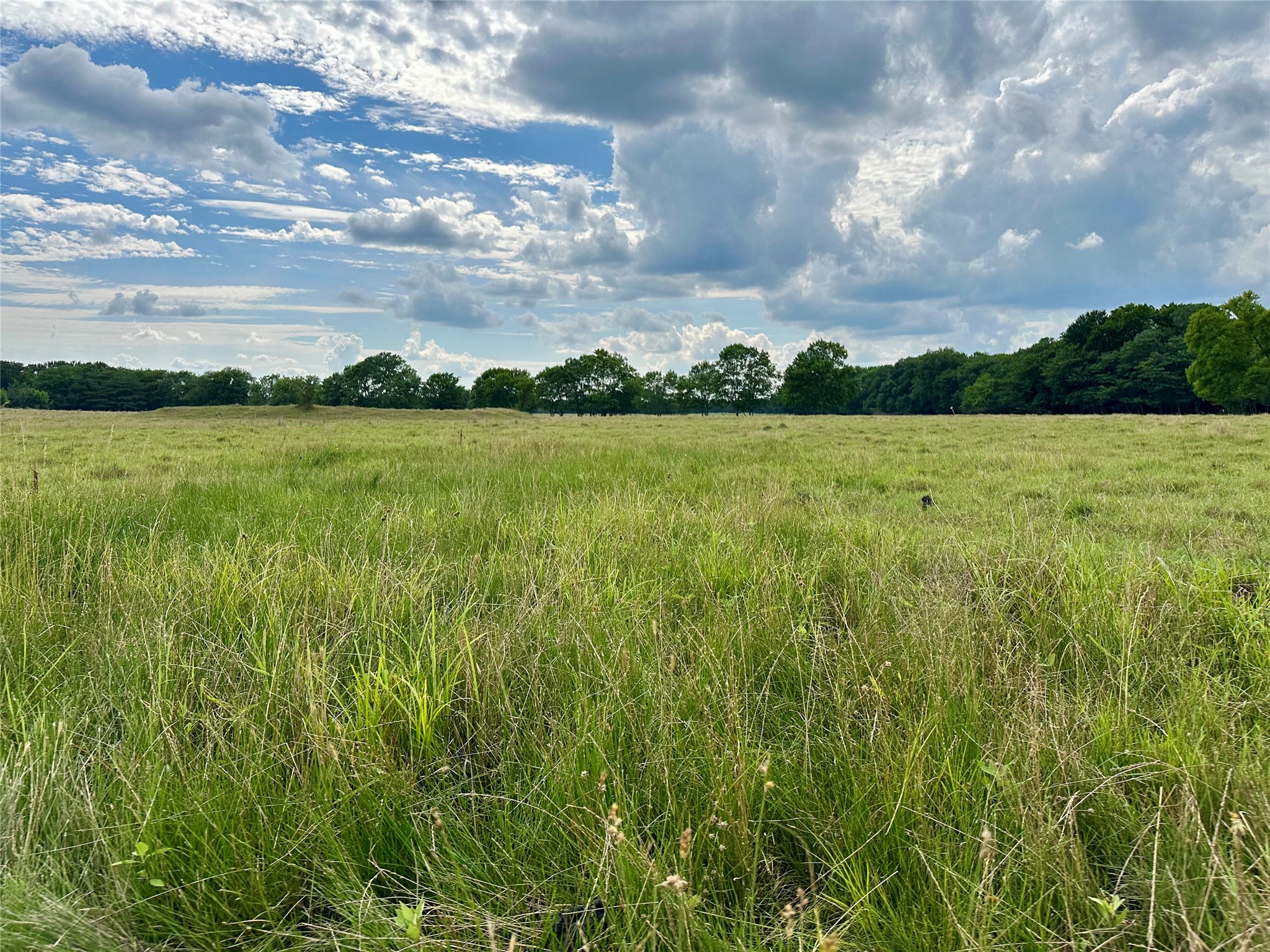 2129 County Road 2130 Cooper TX 75432