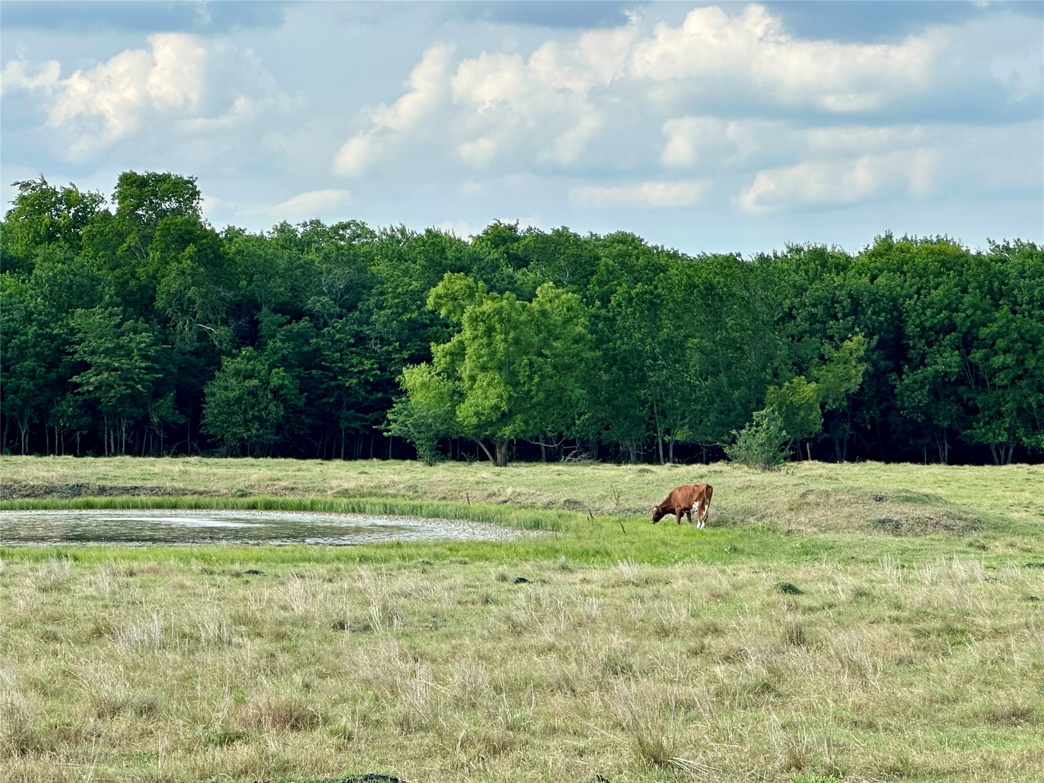2129 County Road 2130 Cooper TX 75432