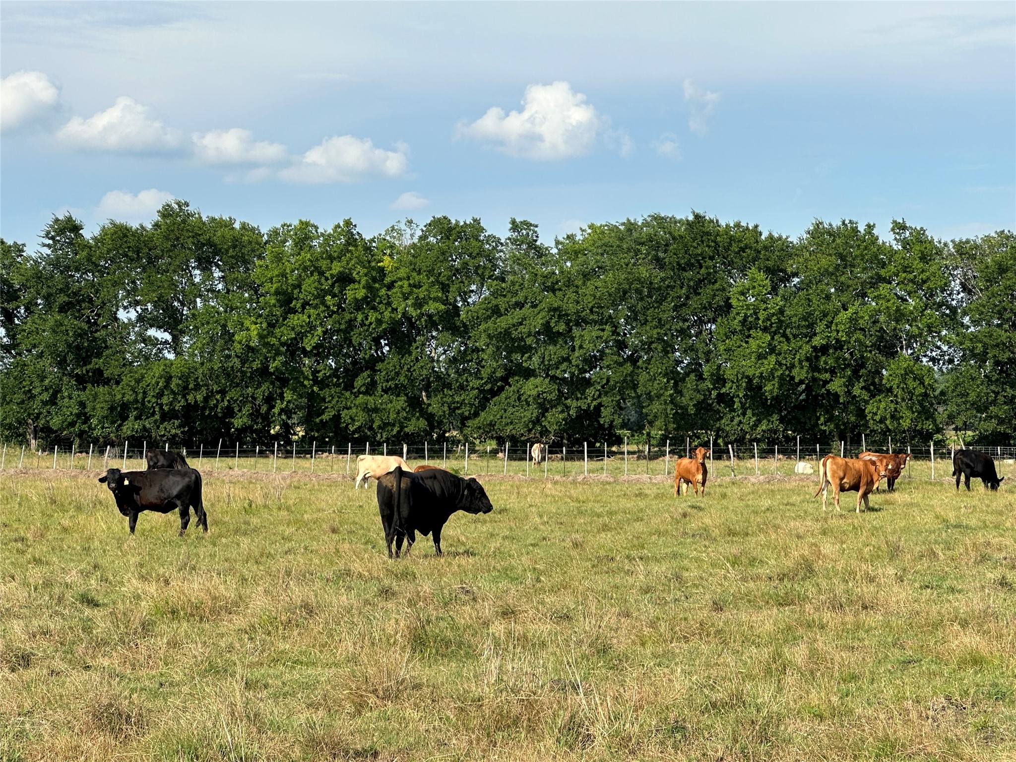 2129 County Road 2130 Cooper TX 75432