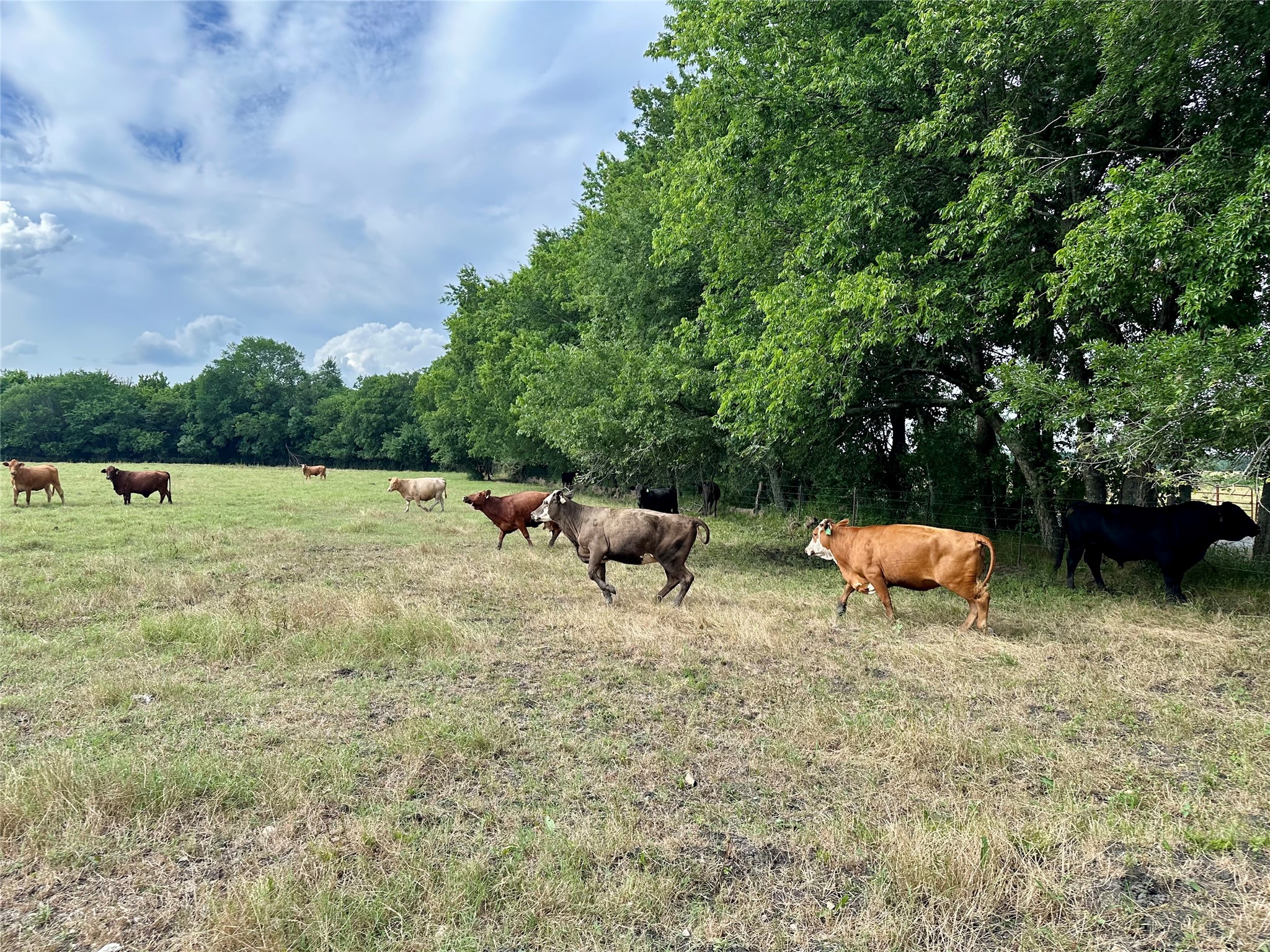 2129 County Road 2130 Cooper TX 75432