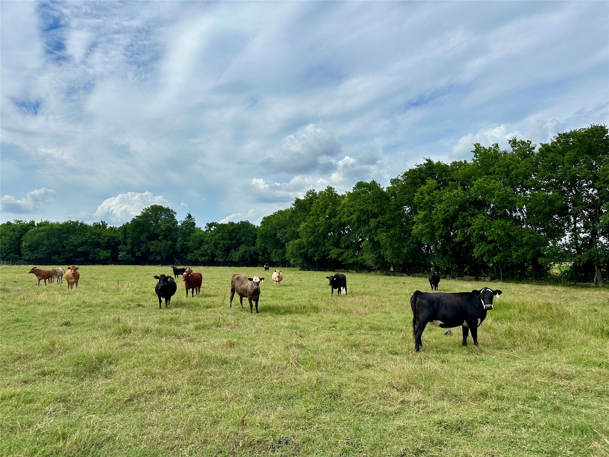 2129 County Road 2130 Cooper TX 75432