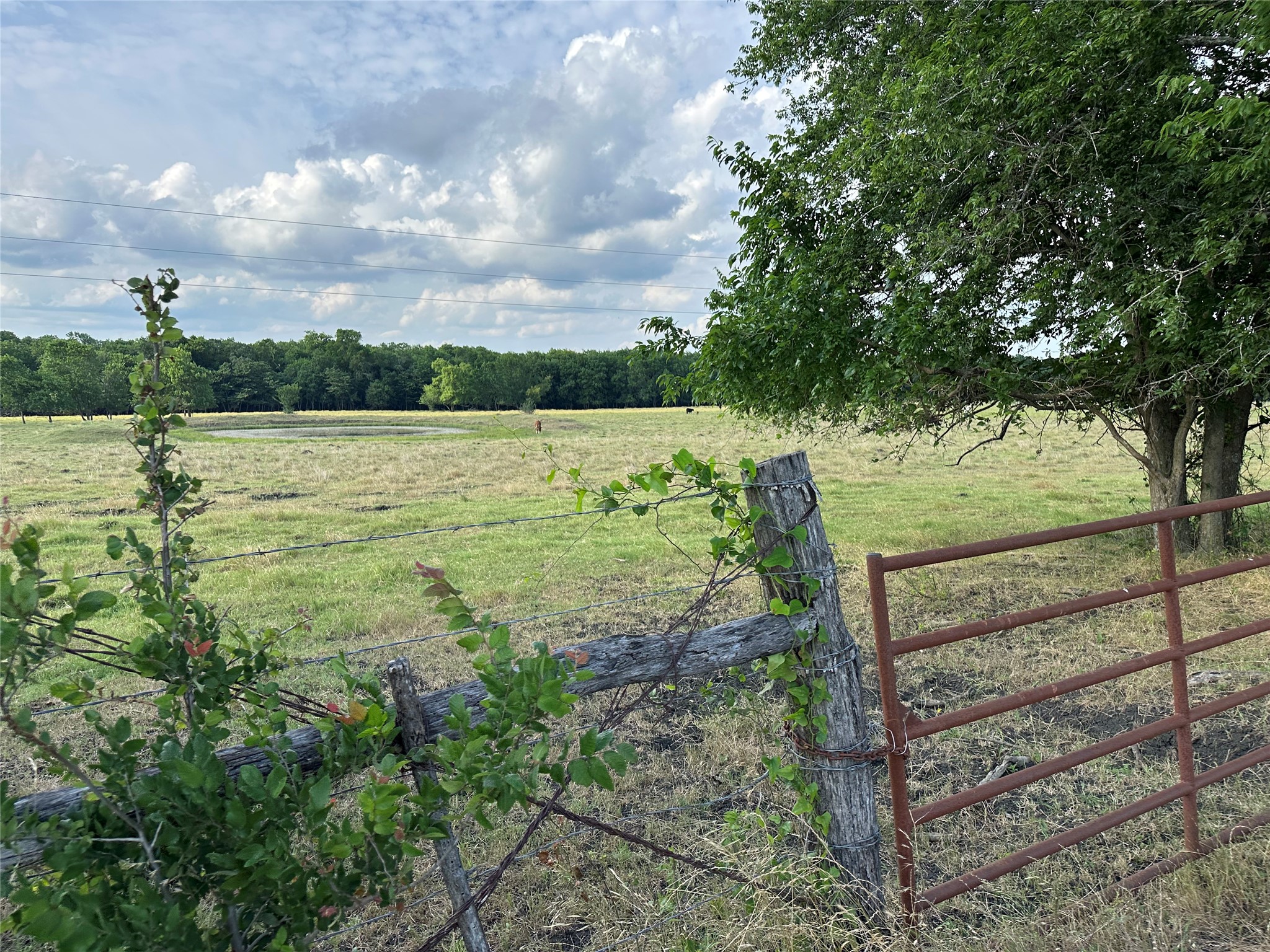 2129 County Road 2130 Cooper TX 75432