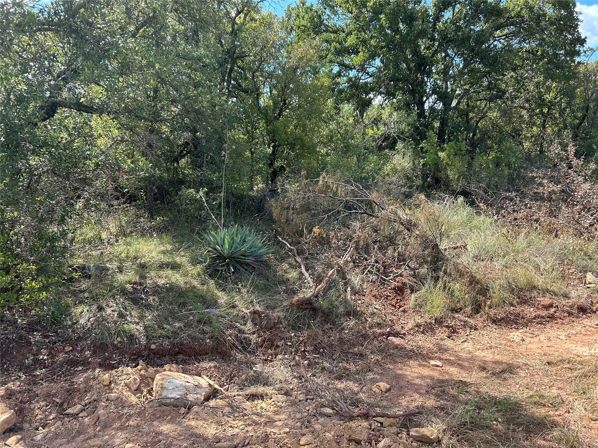 555 Oak Point Drive May TX 76857