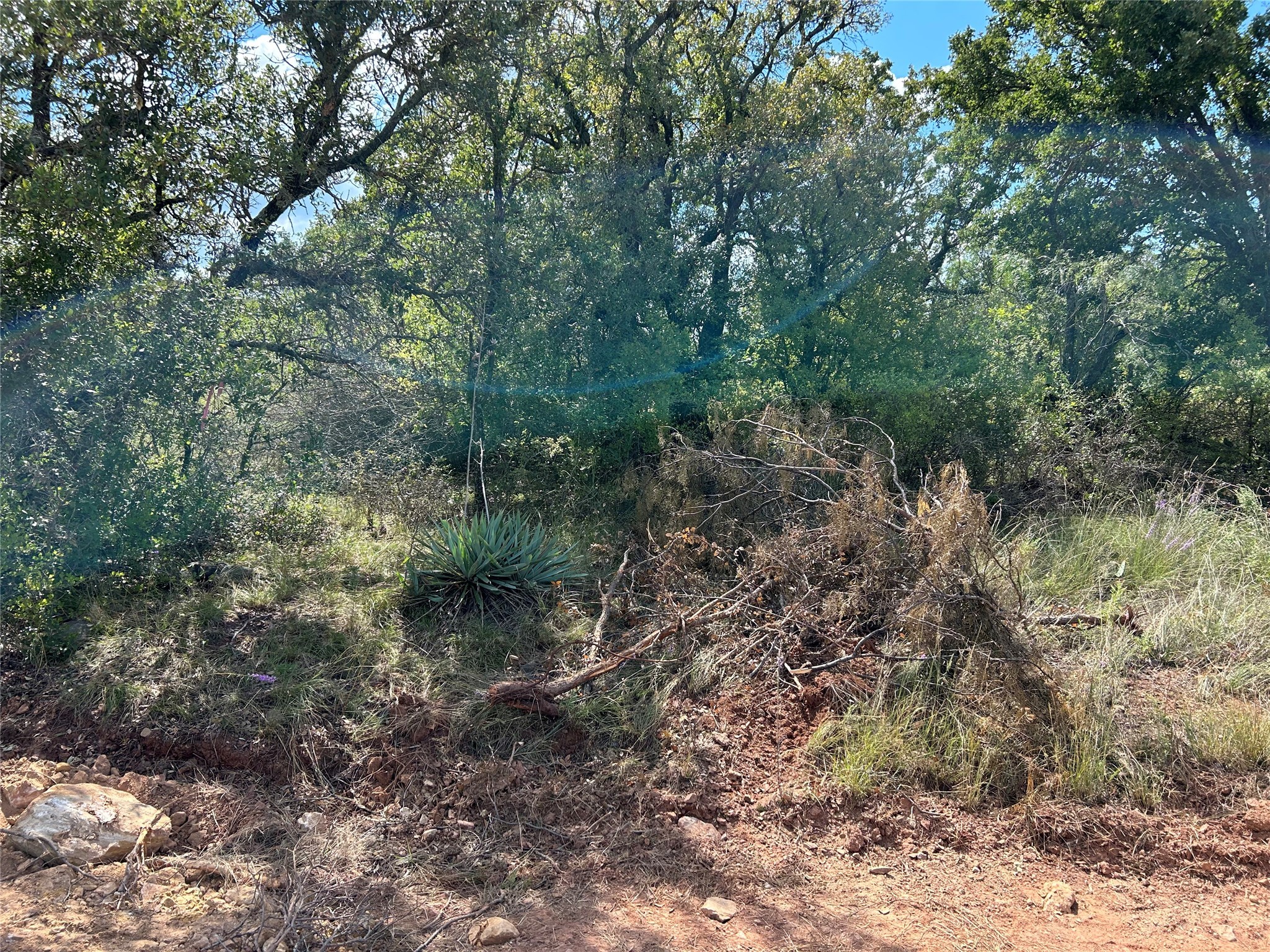 555 Oak Point Drive May TX 76857
