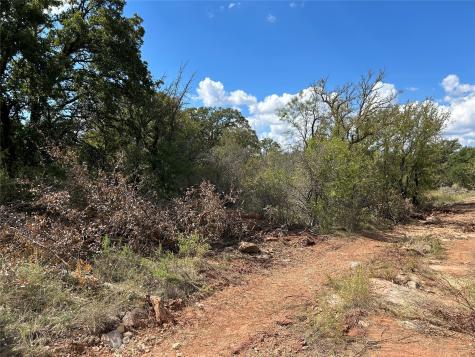 555 Oak Point Drive May TX 76857