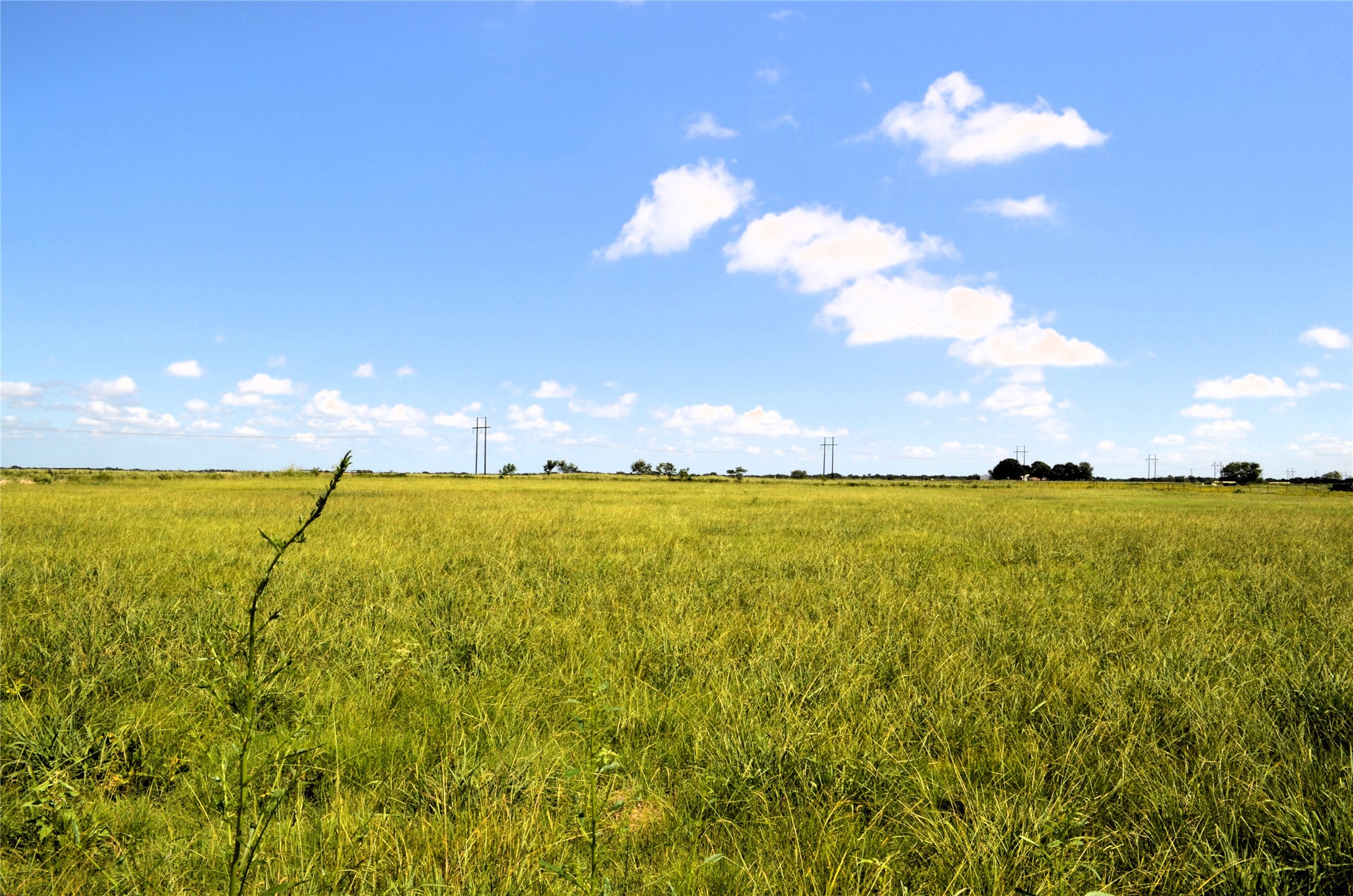 00 Tarlton Road Mabank TX 75147