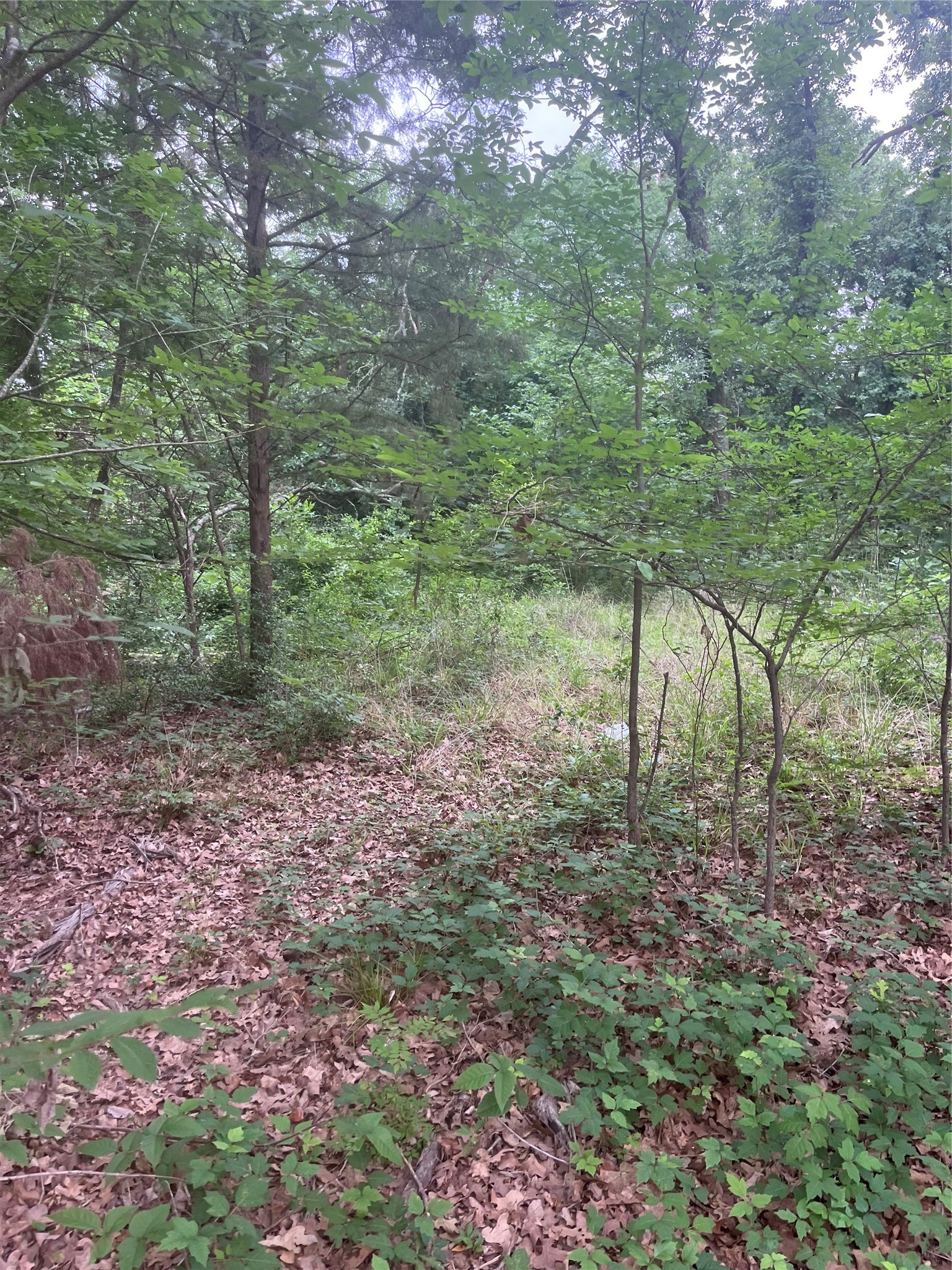 106 Red Bluff Loop Mabank TX 75156
