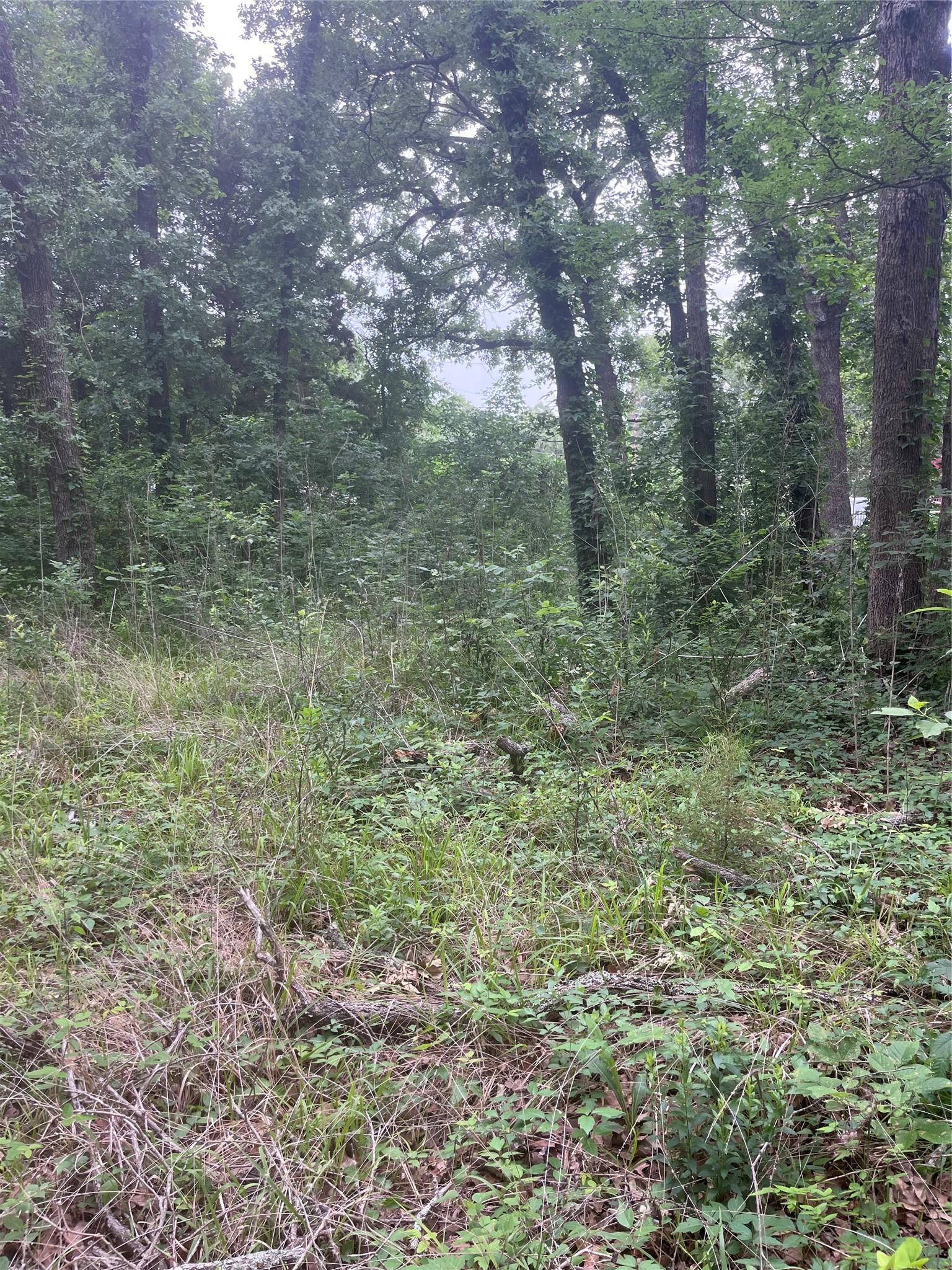 106 Red Bluff Loop Mabank TX 75156
