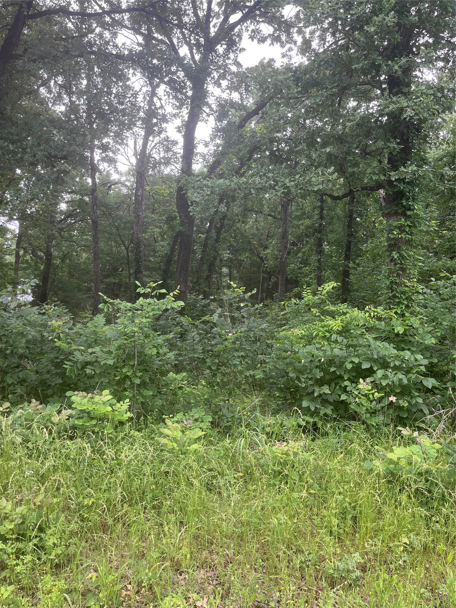 106 Red Bluff Loop Mabank TX 75156