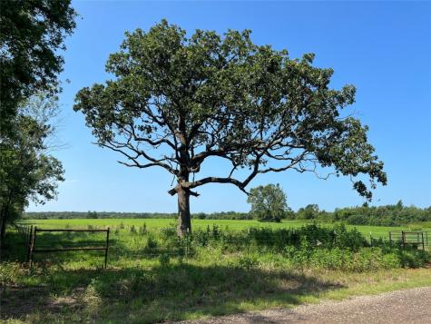 1142 County Road 2400 Pickton TX 75471