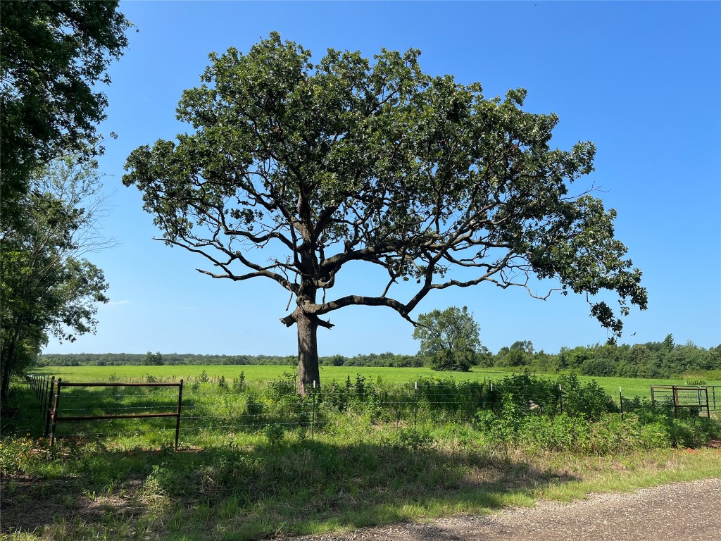 1142 County Road 2400 Pickton TX 75471