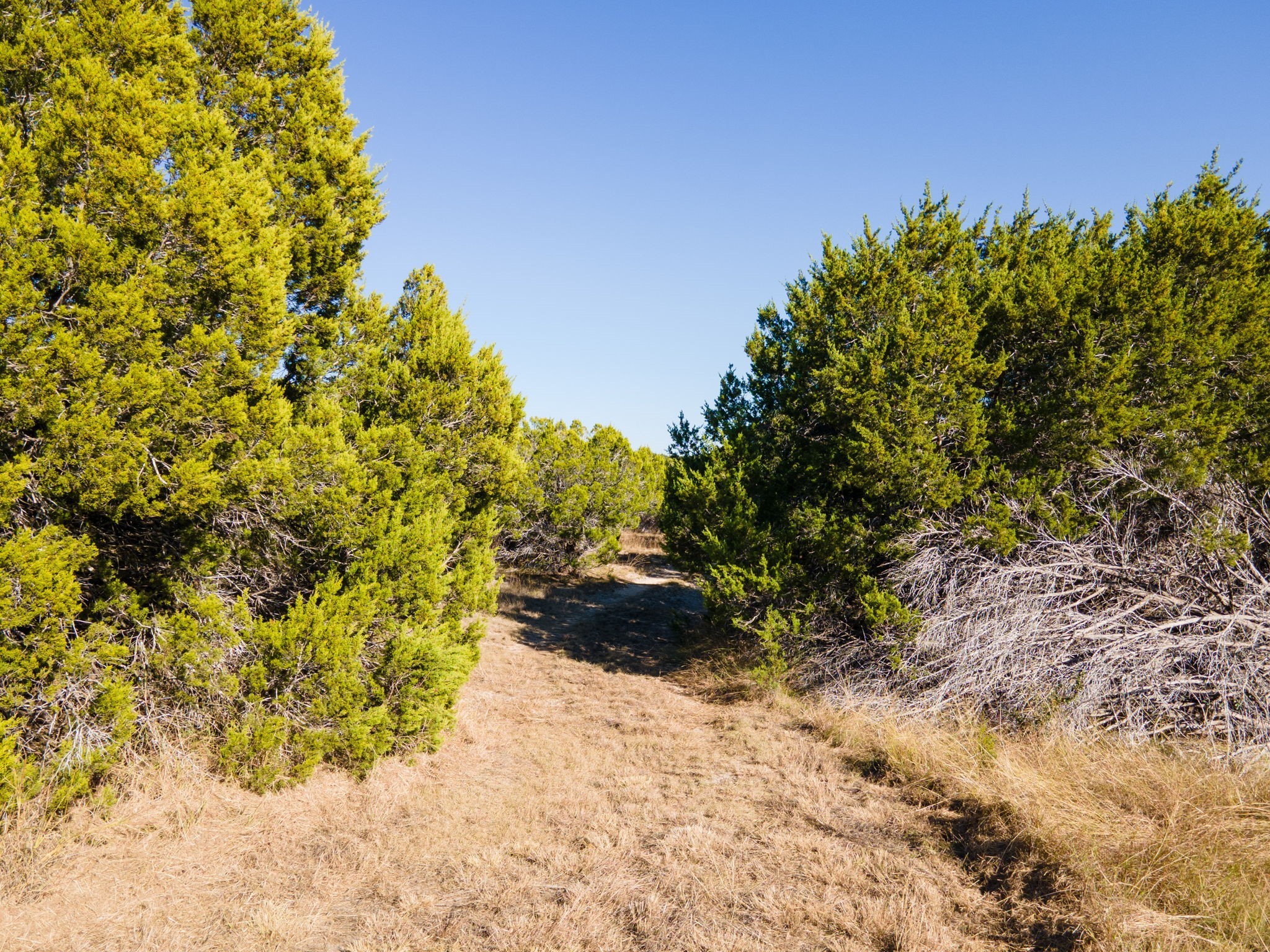 Tbd County Road 1045 Lampasas TX 76550