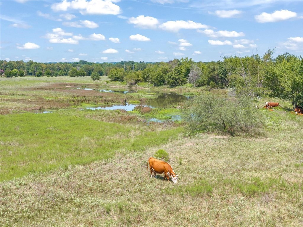 00A Vz County Road 3804 Wills Point TX 75169