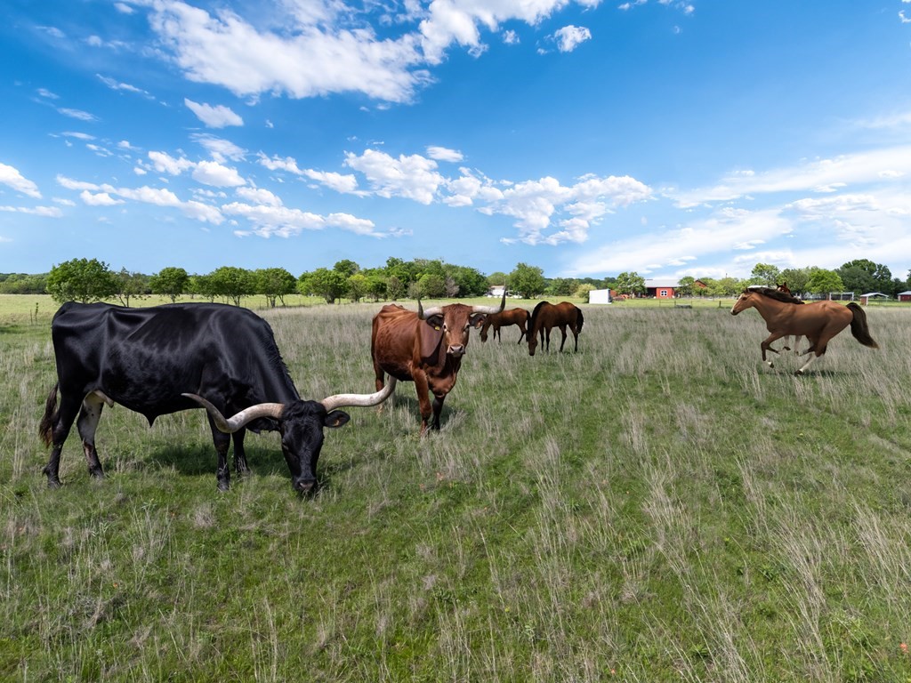 00A Vz County Road 3804 Wills Point TX 75169