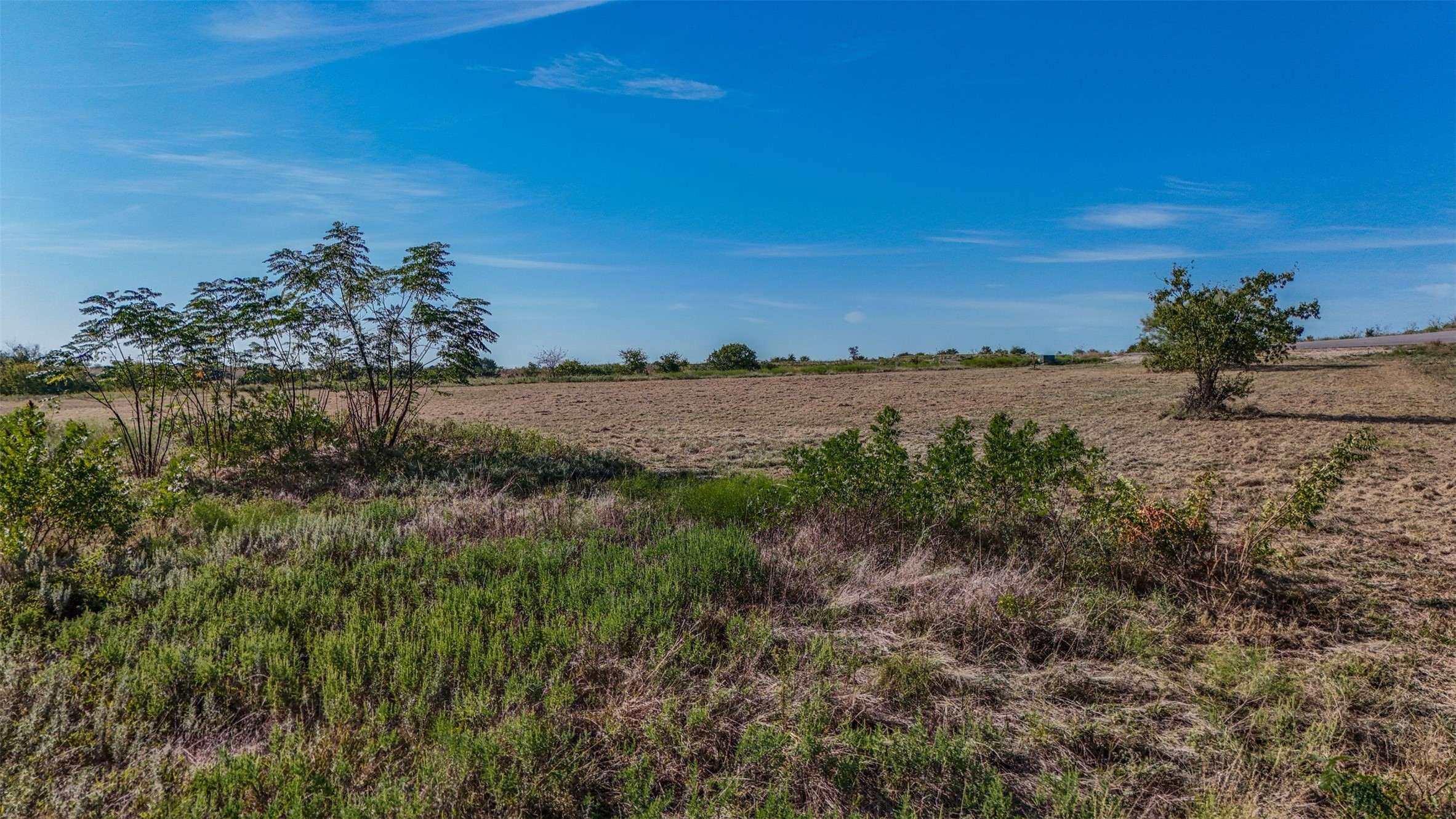 3616 Lucky Pepper Drive Cresson TX 76035