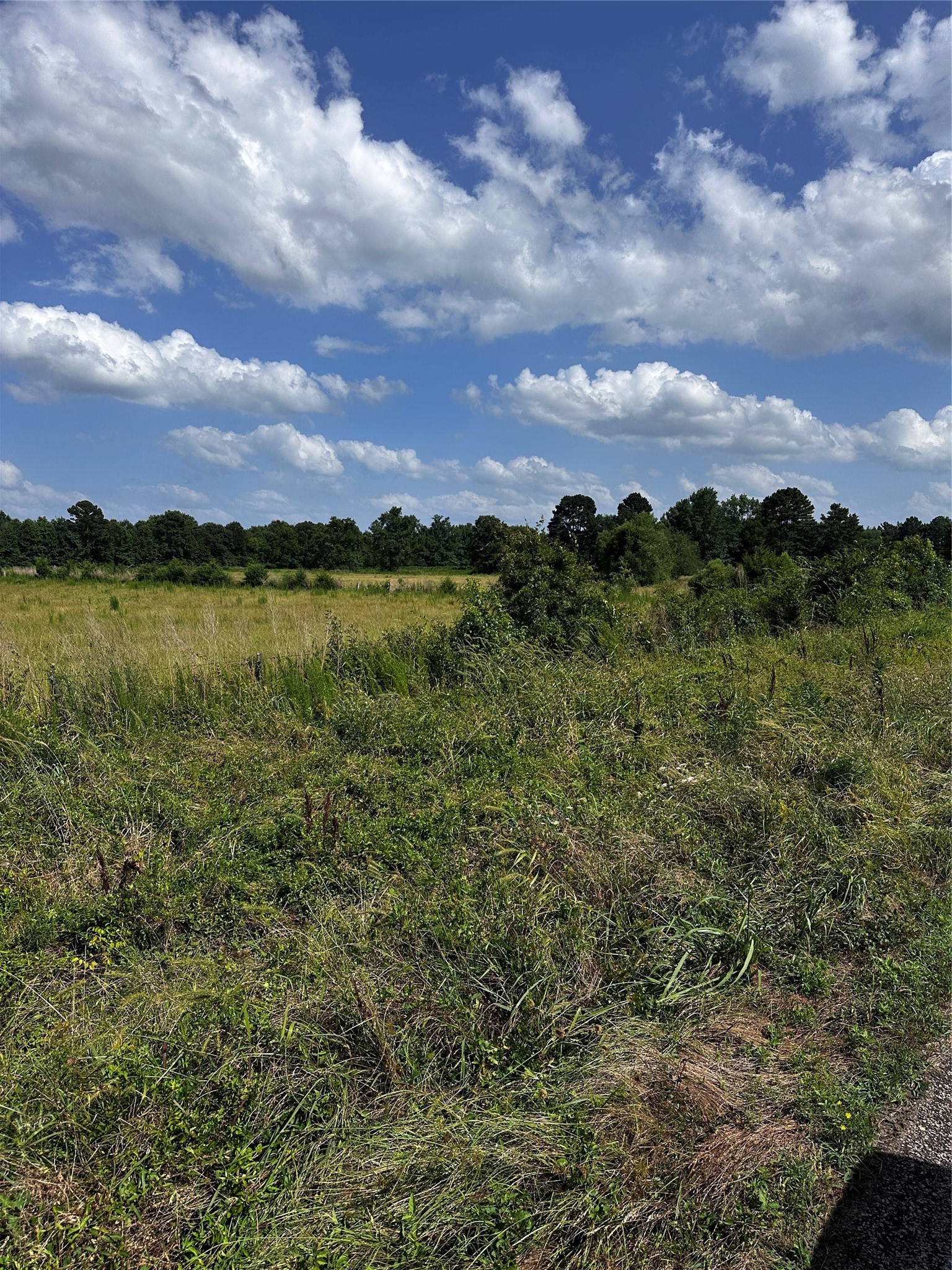 001 Fm-144 Daingerfield TX 75638