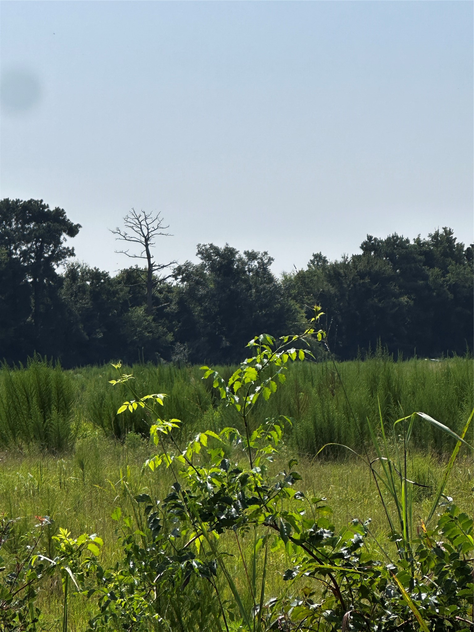 001 Fm-144 Daingerfield TX 75638